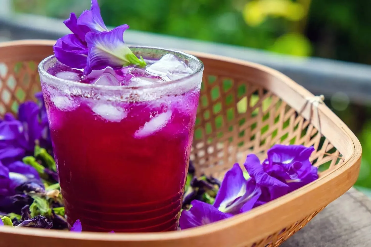 The butterfly pea grows wild across India. (Shutterstock)  