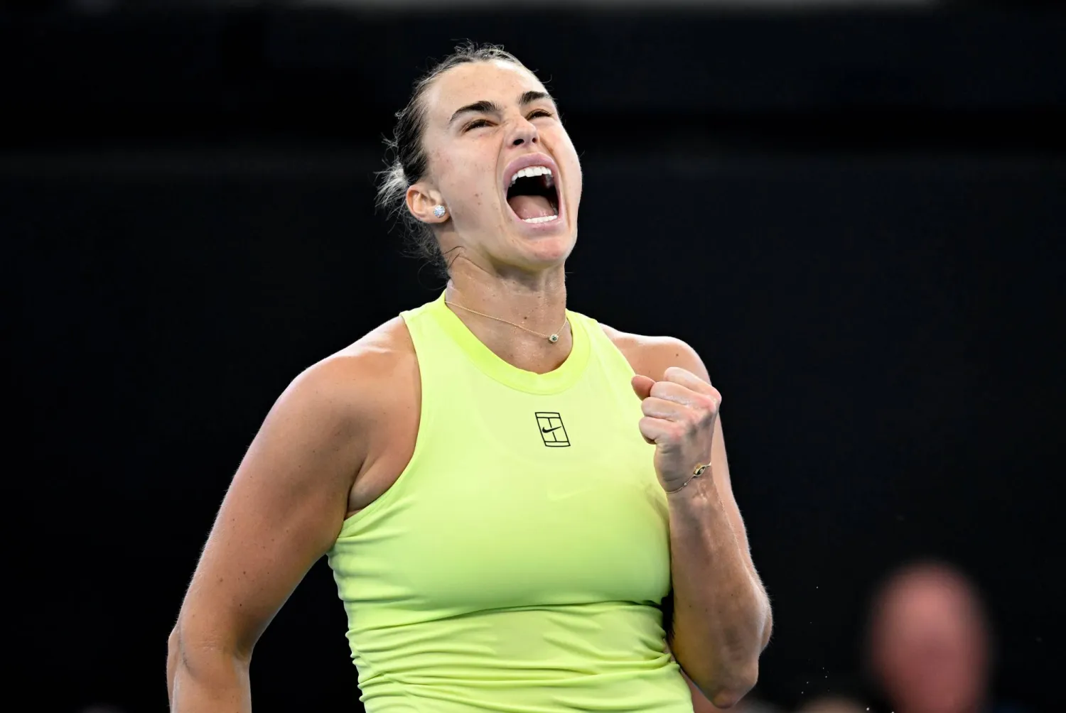 أرينا سابالينكا (د.ب.أ)