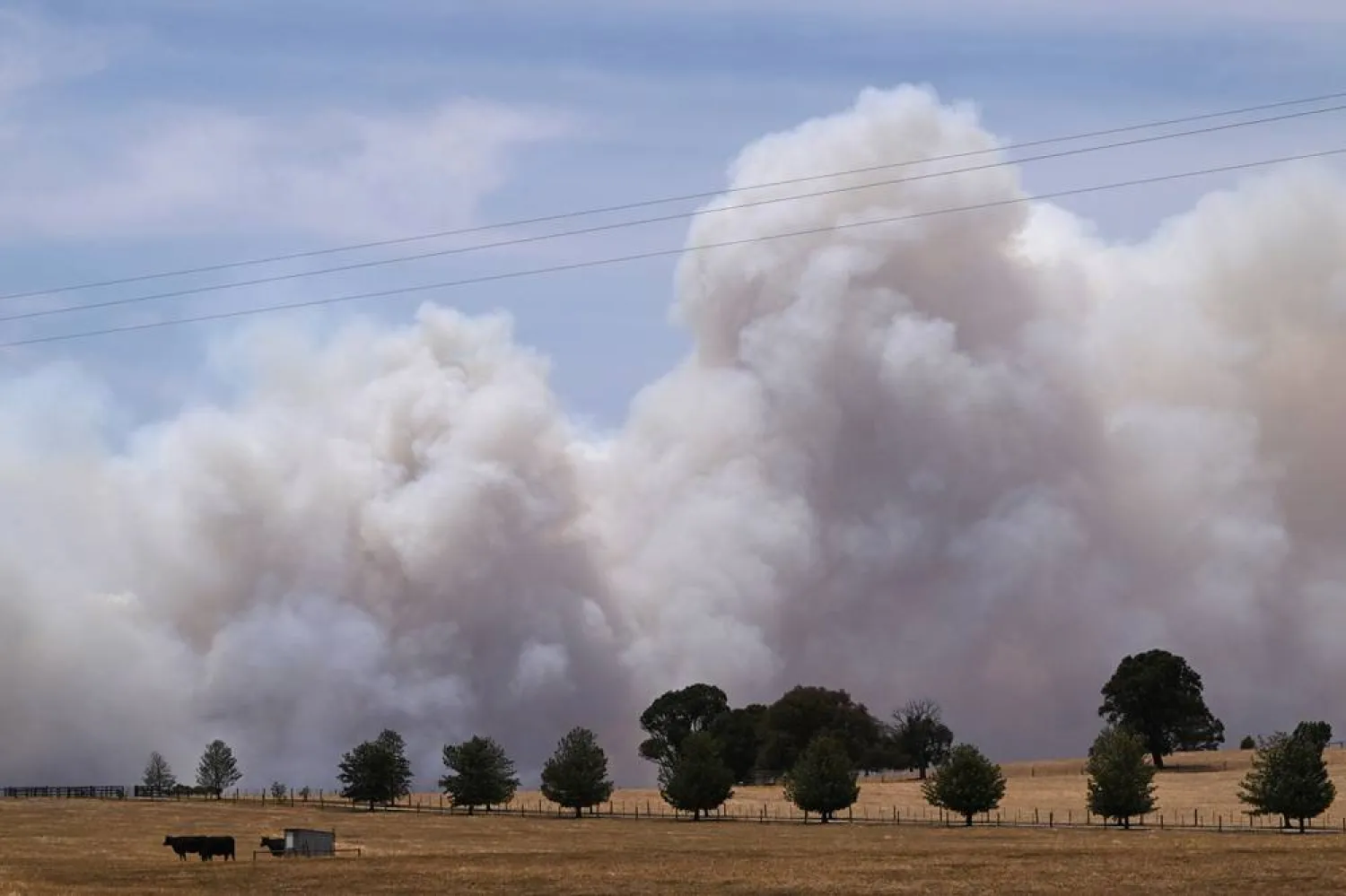 Smoke billows from the Longwood bushfire along the Goulburn Highway in Victoria, Australia, 09 January 2026. (EPA)