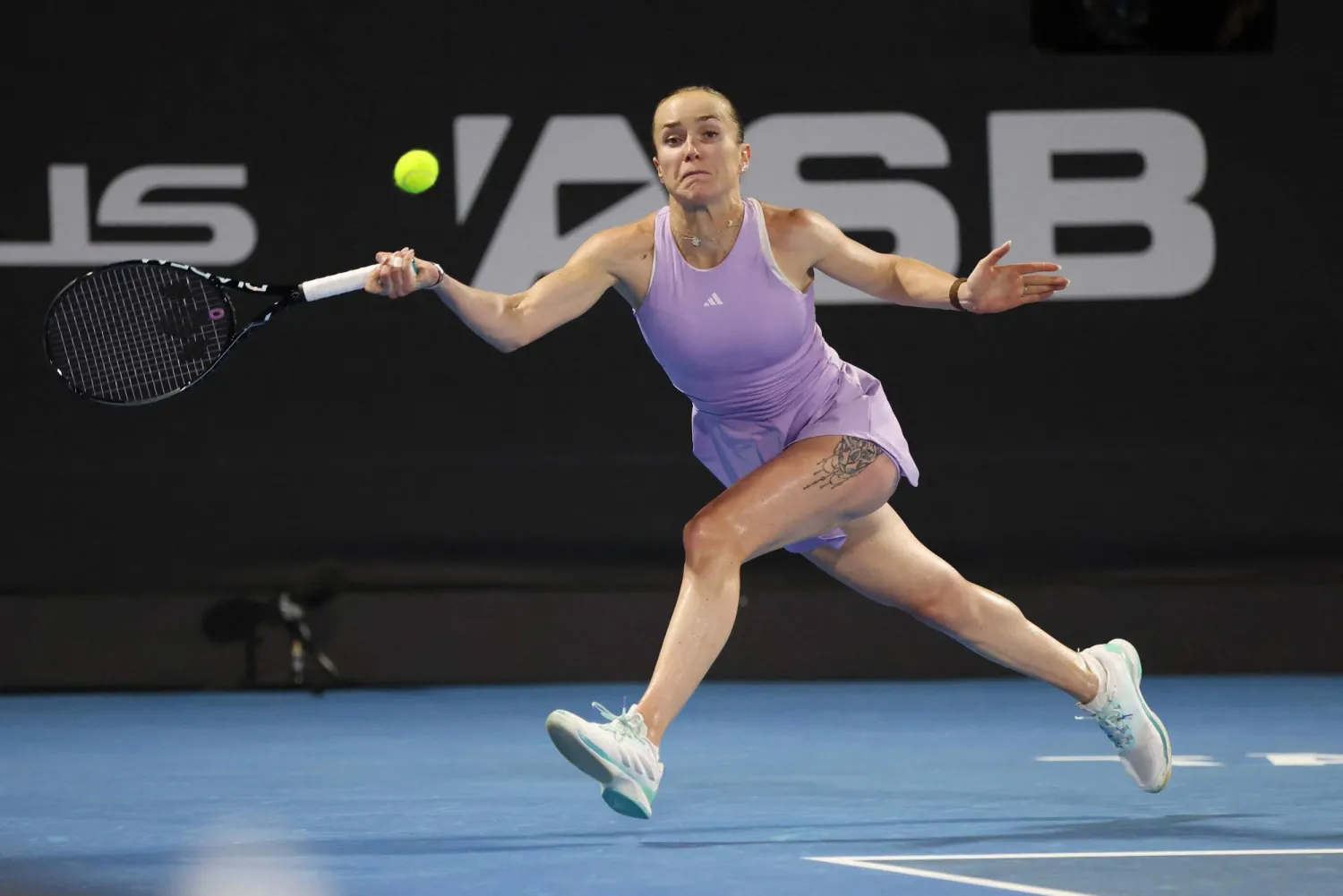 الأوكرانية يلينا سفيتولينا تتألق في نيوزيلندا (أ.ف.ب)