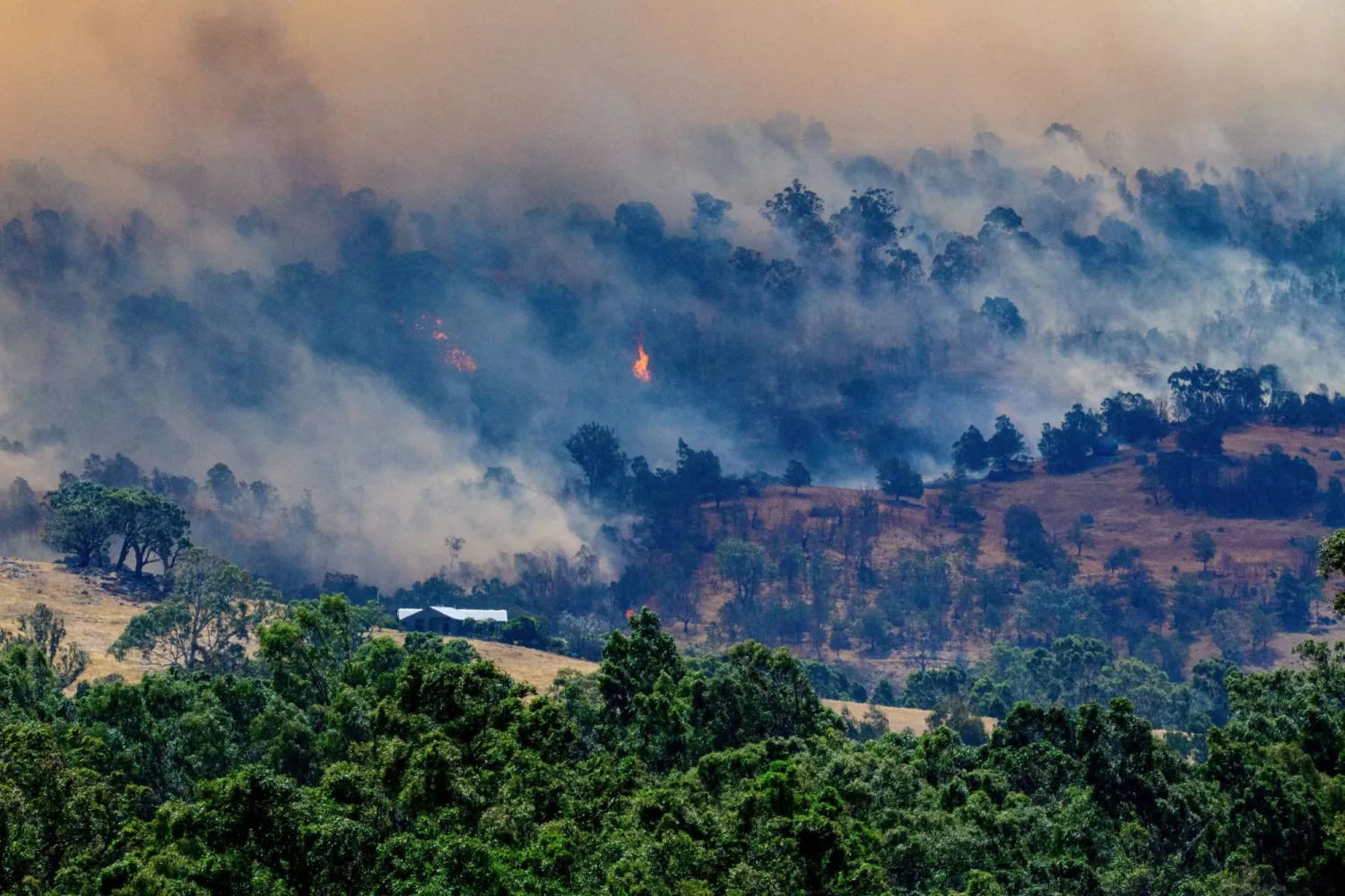 Smoke rises from a burning forest on a hillside behind a home near Longwood as bushfires continue to burn under severe fire weather conditions in Longwood, Victoria, Australia, January 9, 2026. AAP/Michael Currie via REUTERS 