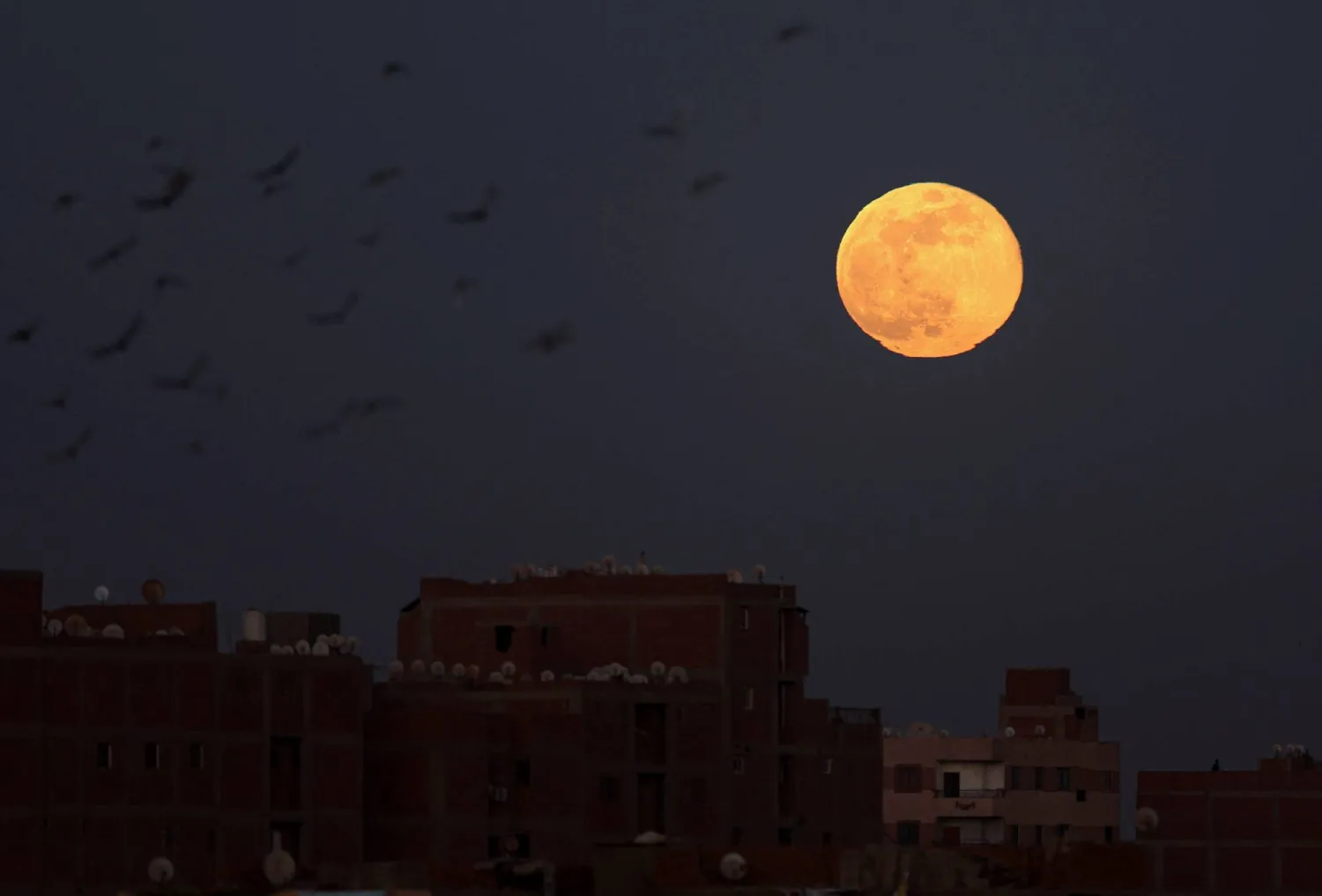 The Wolf Moon, the first supermoon of 2026, lights up the night sky in Cairo, Egypt, January 3, 2026. REUTERS/Mohamed Abd El Ghany