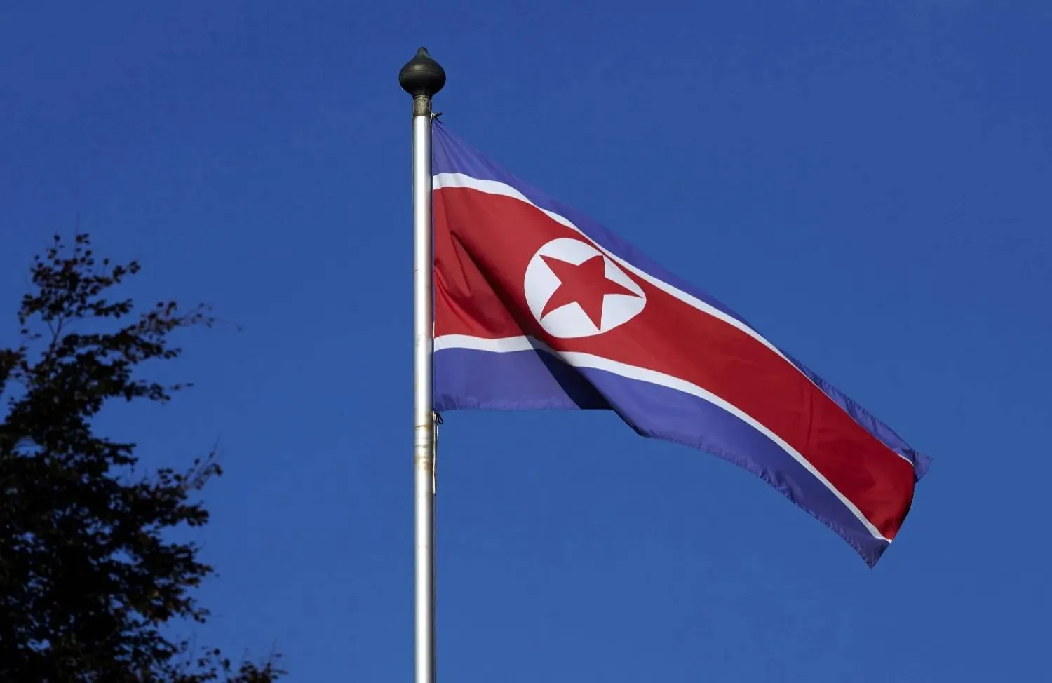 A North Korean flag flies on a mast at the Permanent Mission of North Korea in Geneva October 2, 2014. REUTERS/Denis Balibouse/File Photo
