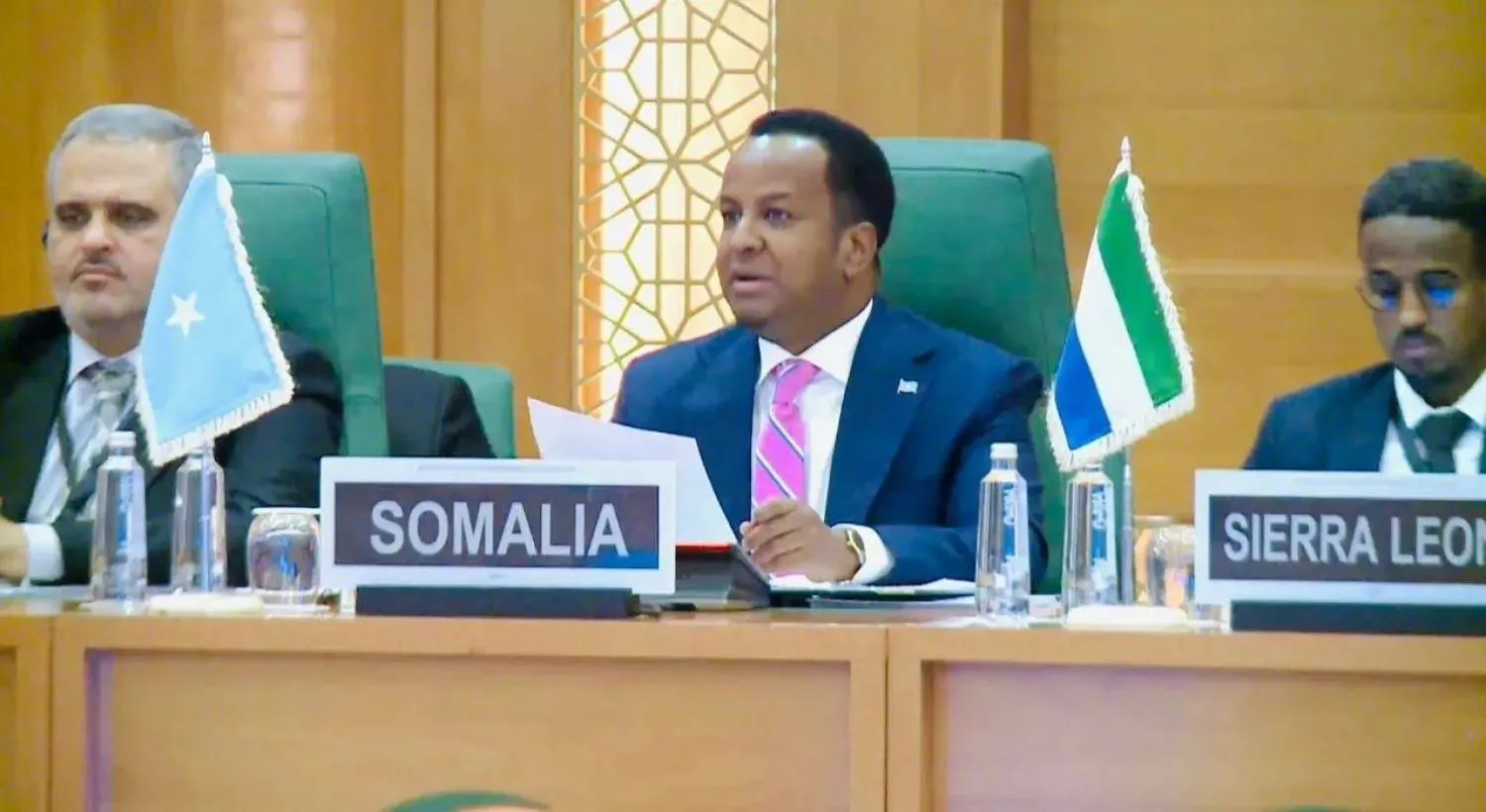 Somali Foreign Minister Abdisalam Abdi Ali (Somali Foreign Ministry)