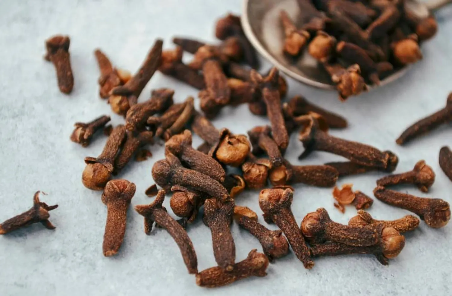 تناول حبة قرنفل يومياً يمكن أن يساعد في تقليل الالتهاب في الشعب الهوائية (بكسلز)