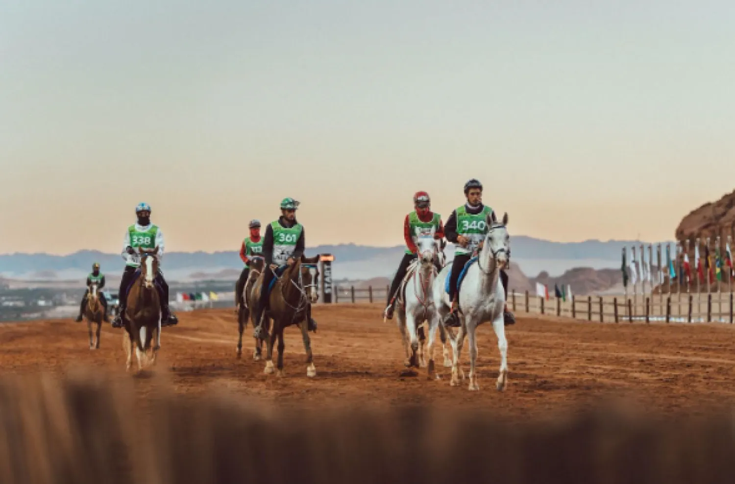 البطولة تستقطب نخبة فرسان العالم وأمهر الخيول الأصيلة (لحظات العلا)