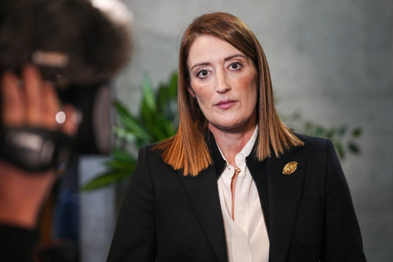 رئيسة البرلمان الأوروبي روبرتا ميتسولا (د.ب.أ)