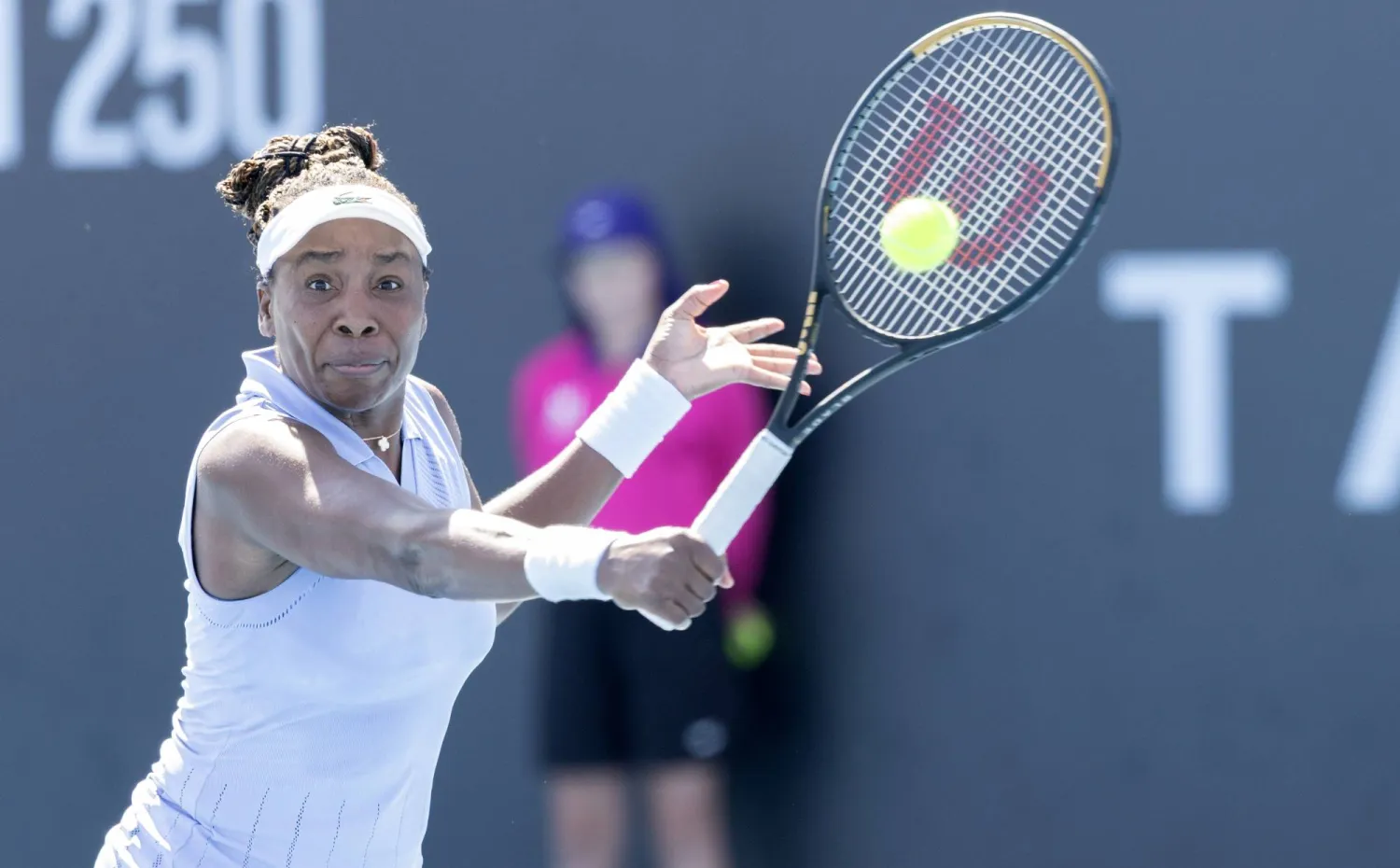 فينوس ويليامز (د.ب.أ)