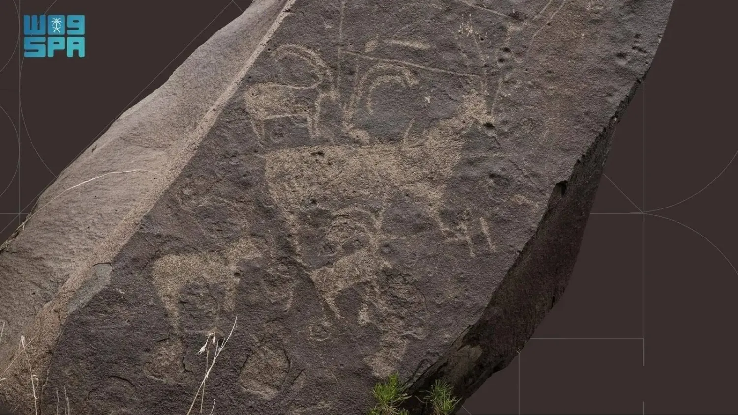 The newly identified sites feature inscriptions and rock carvings estimated to be between 4,000 and 5,000 years old. (SPA)