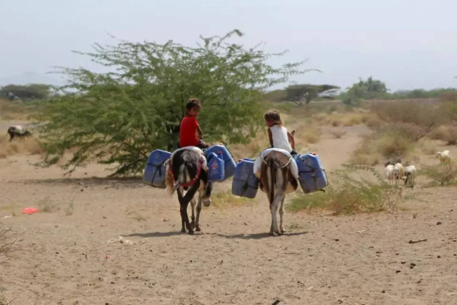 طفلان يمنيان ينقلان المياه إلى منزليهما في ظل تردي الخدمات الذي يعاني منه غالبية السكان (أ.ف.ب)