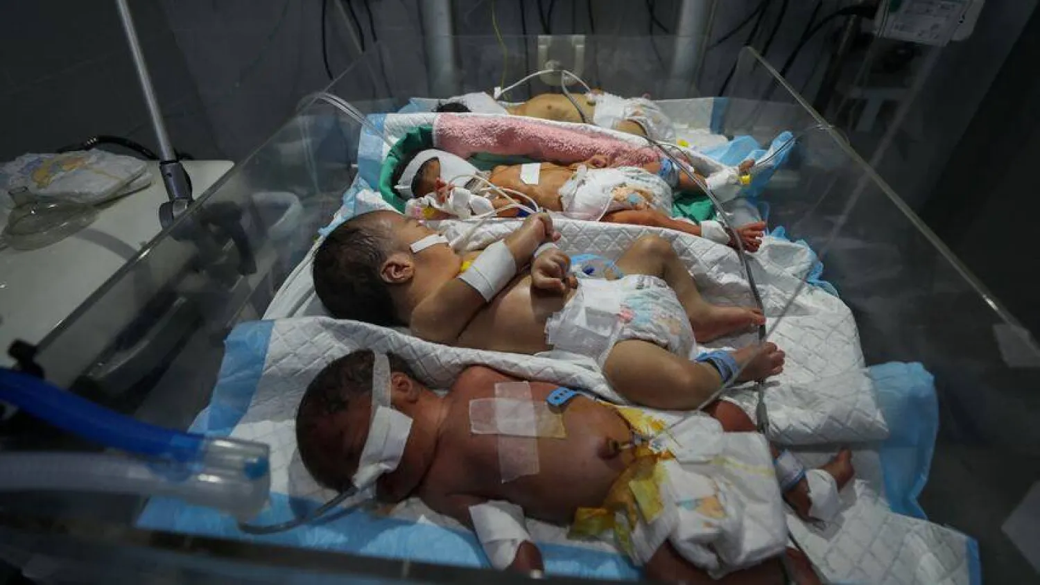أطفال فلسطينيون حديثو الولادة في حاضنة واحدة في مستشفى الحلو بسبب أزمة الوقود في مدينة غزة (رويترز)