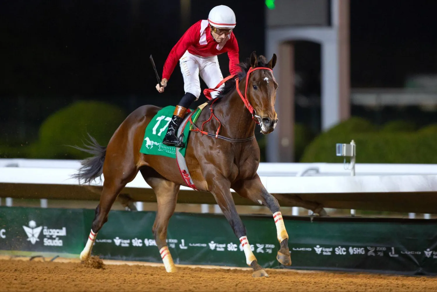 
"ذياف" من أبرز الأسماء المرشحة في كأس الملك عبدالعزيز (الشرق الأوسط)
