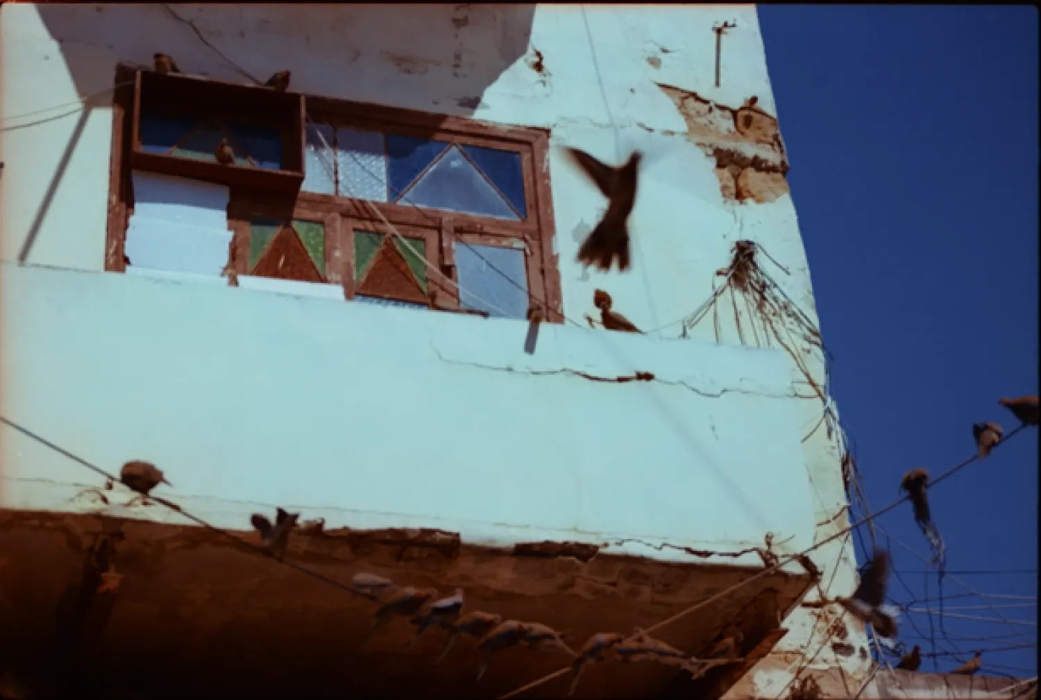 ما يبدو عادياً يخفي جهداً يومياً للاستمرار (تارا الخازن)