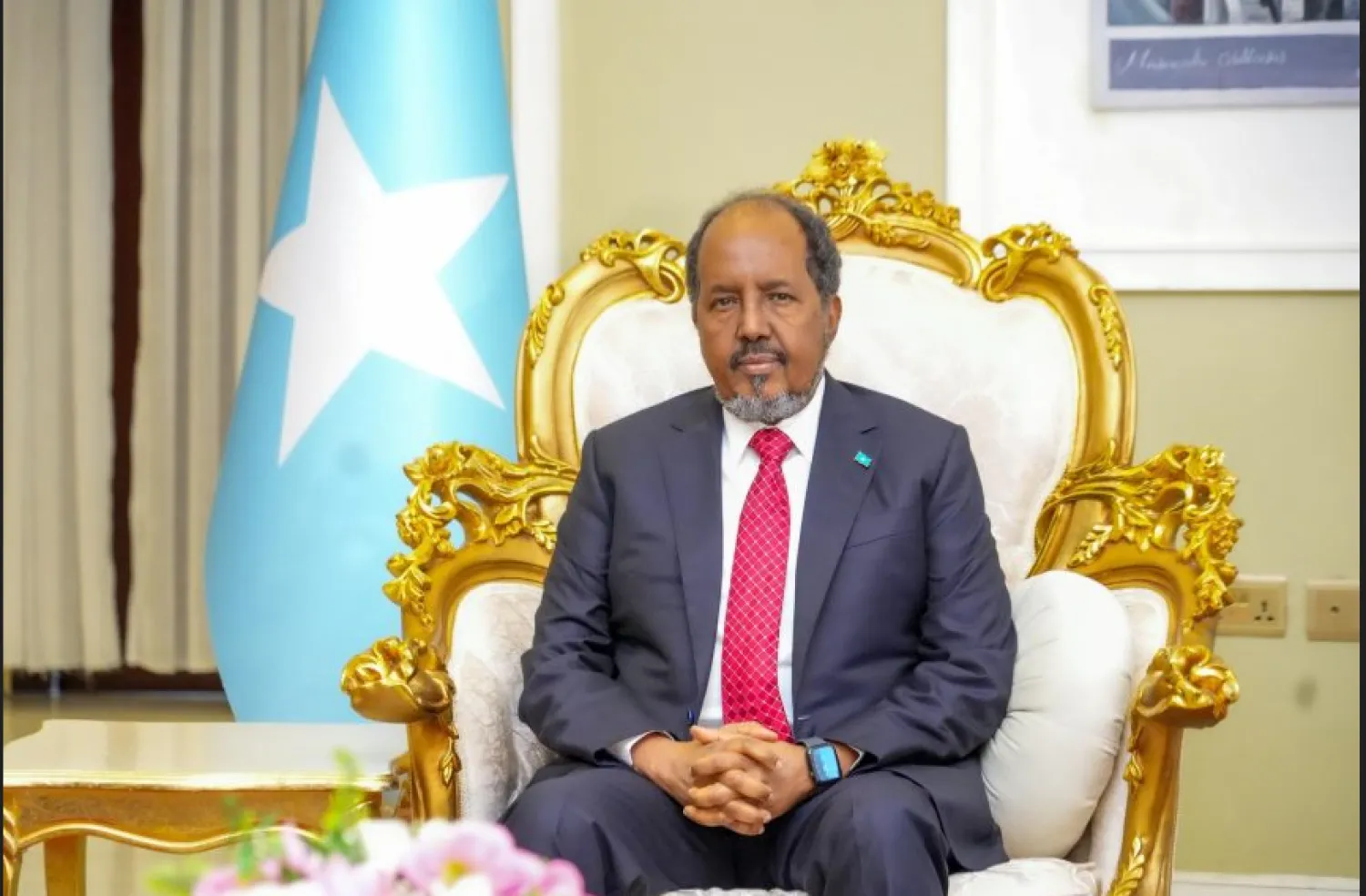 الرئيس الصومالي حسن شيخ محمود (وكالة الأنباء الصومالية)