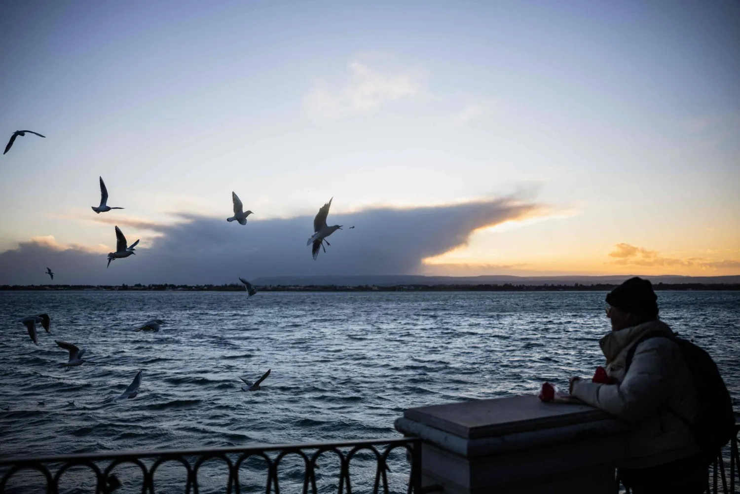  A man feeds seagulls in Syracuse, Sicily, southern Italy on January 10, 2026. (AFP) 