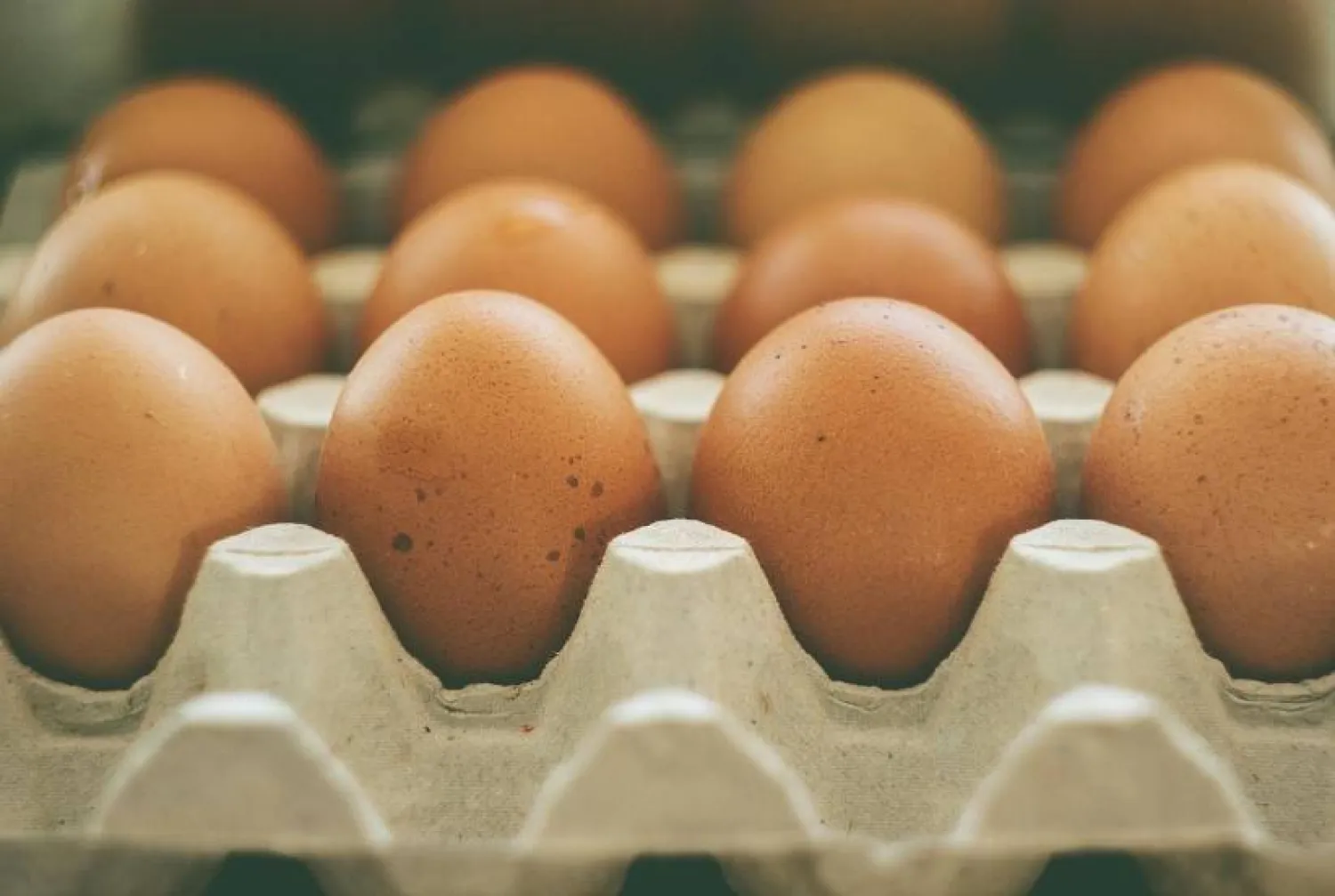 تناول كمية معتدلة من البيض يقلّل من خطر الوفاة المرتبطة بأمراض القلب والأوعية الدموية (بكساباي)