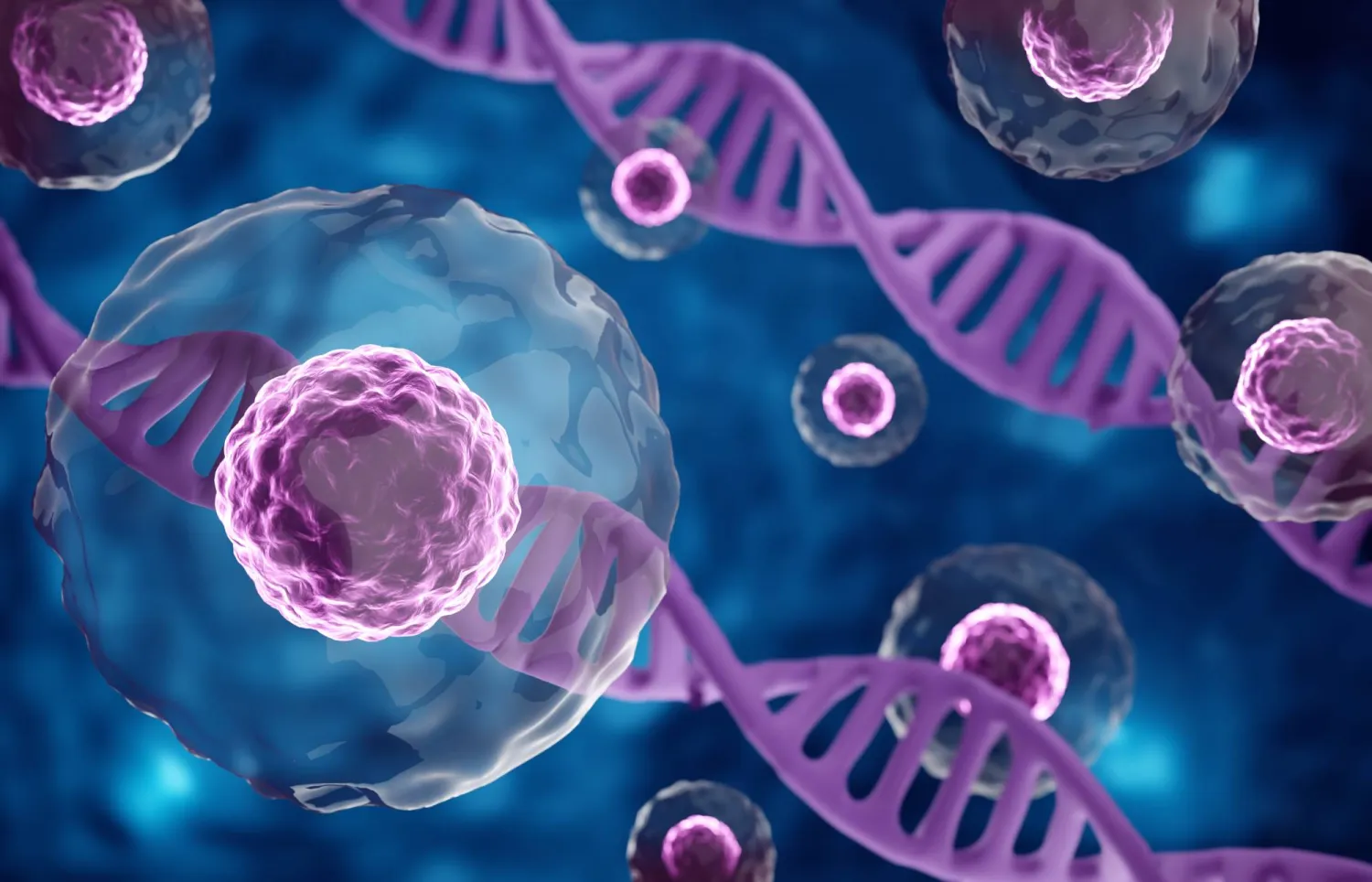 خلايا جذعية تحت المجهر