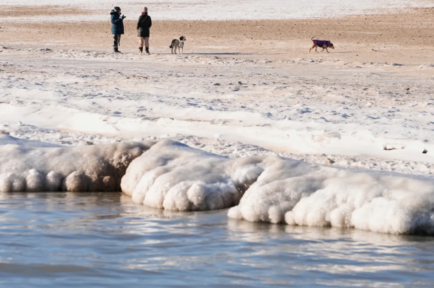 Ice forms along the Lake Michigan shore as People walk their dogs on a beach, Tuesday, Jan. 20, 2026, in Chicago. (AP Photo/Kiichiro Sato)