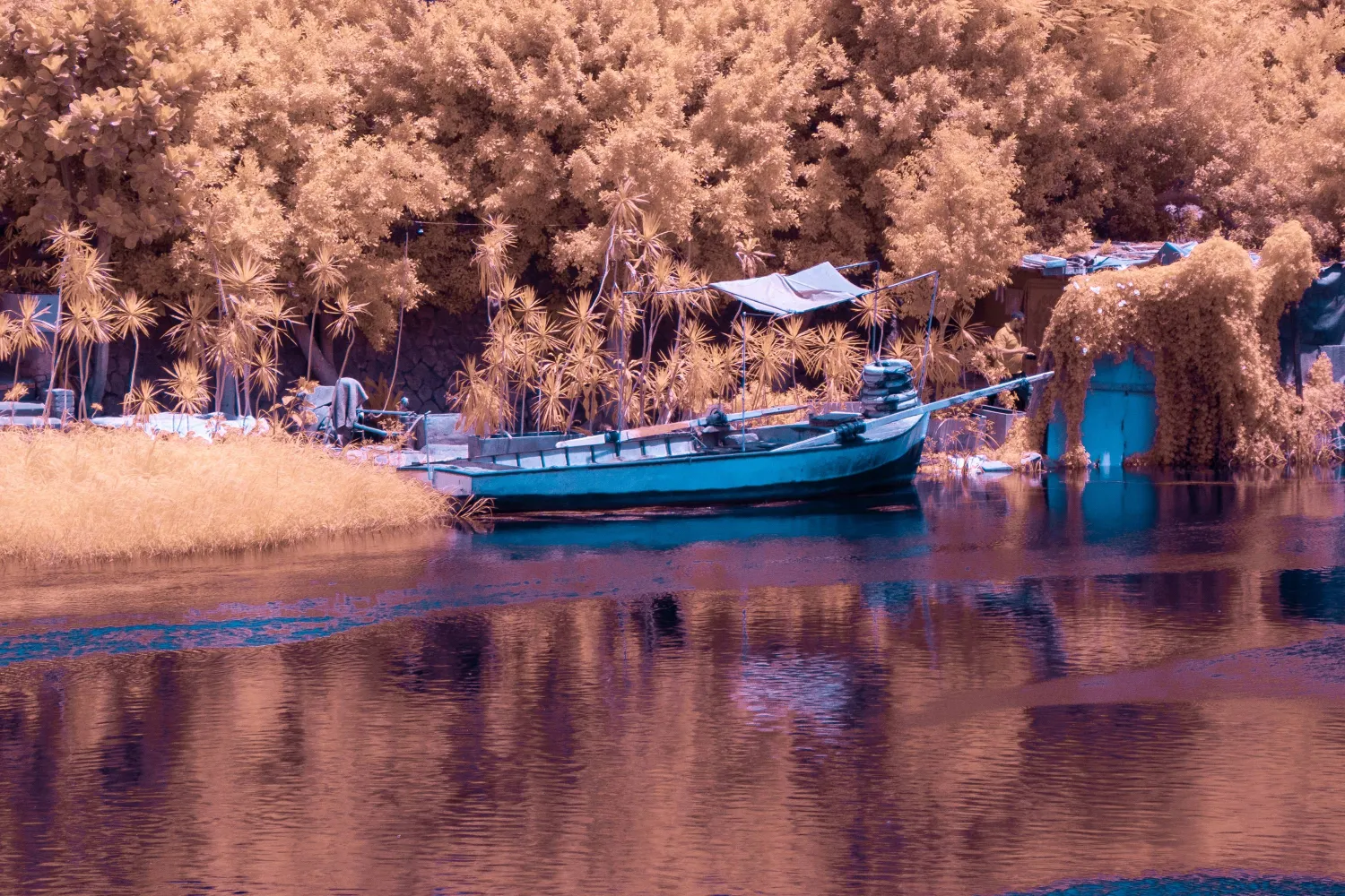 مدن مصر بتأثيرات الأشعة تحت الحمراء للفنان فادي قدسي (الشرق الأوسط)