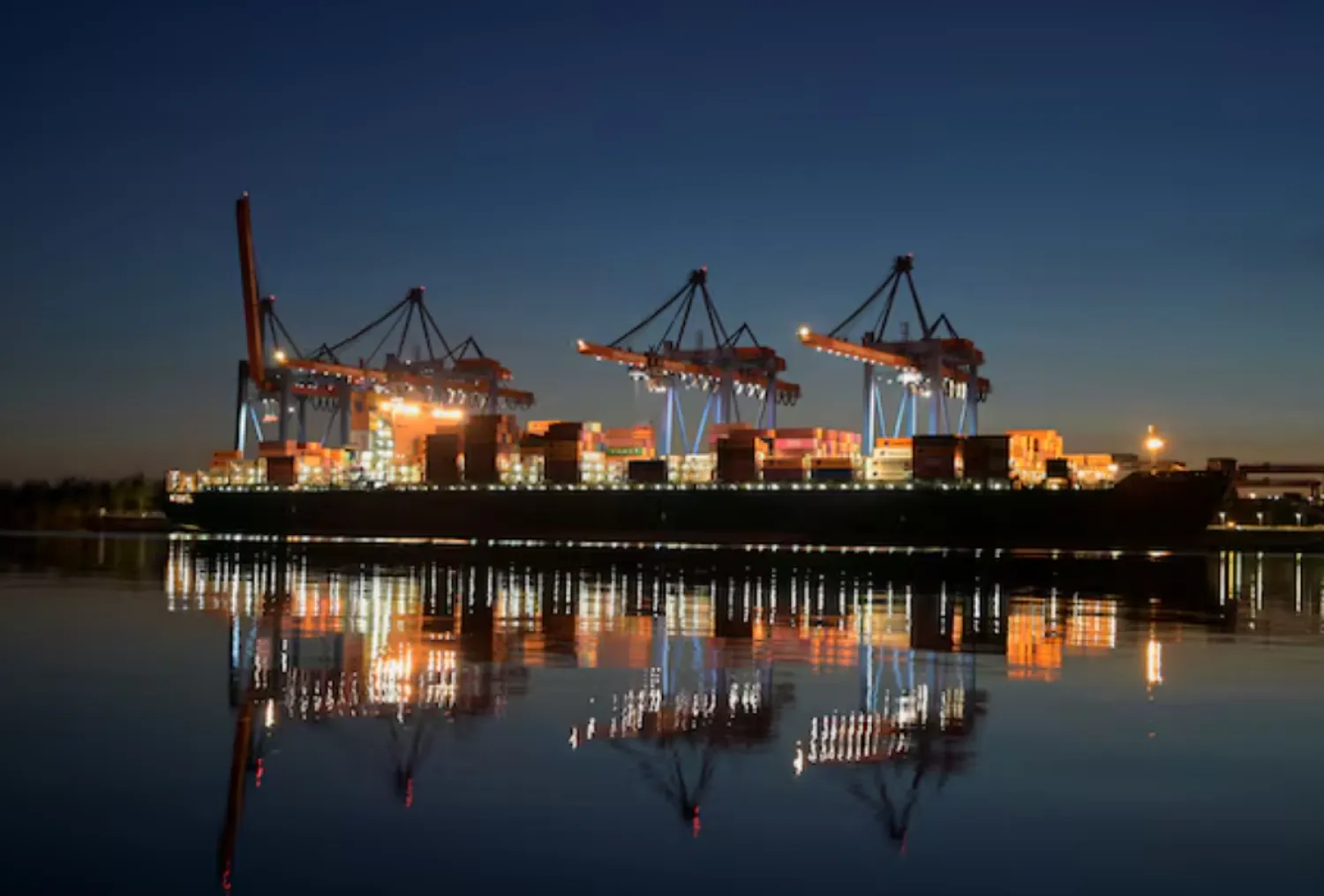 A container ship is seen at the loading terminal "Altenwerder" in the port of Hamburg, Germany, February 17, 2025. REUTERS/Fabian Bimmer 