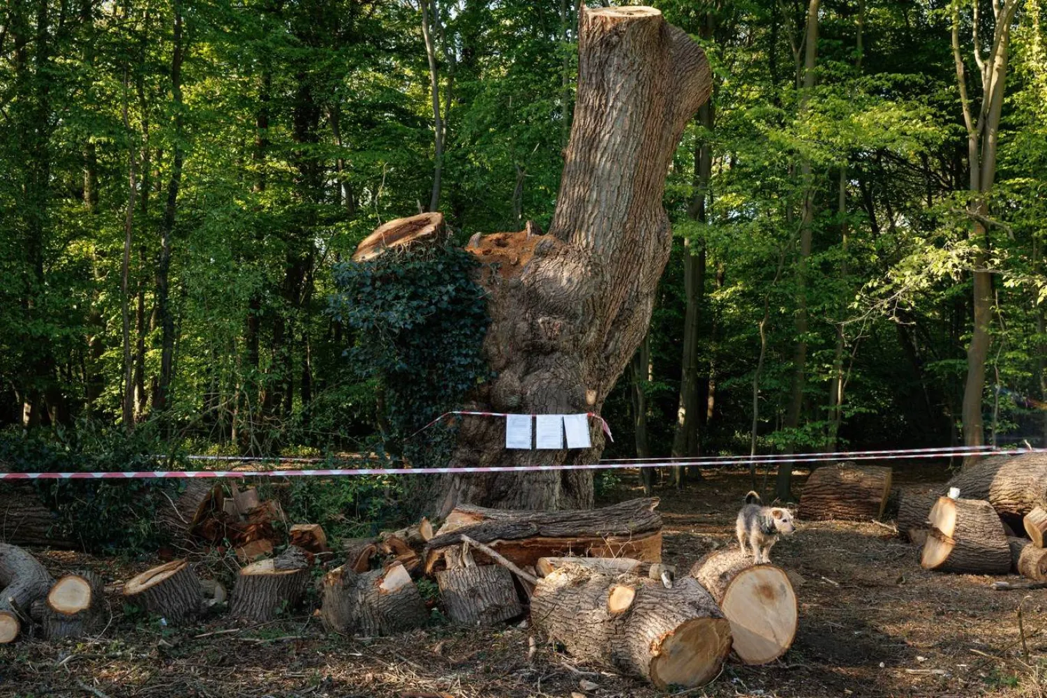 ذاكرة مكان اصطدمت بقرار (غيتي)