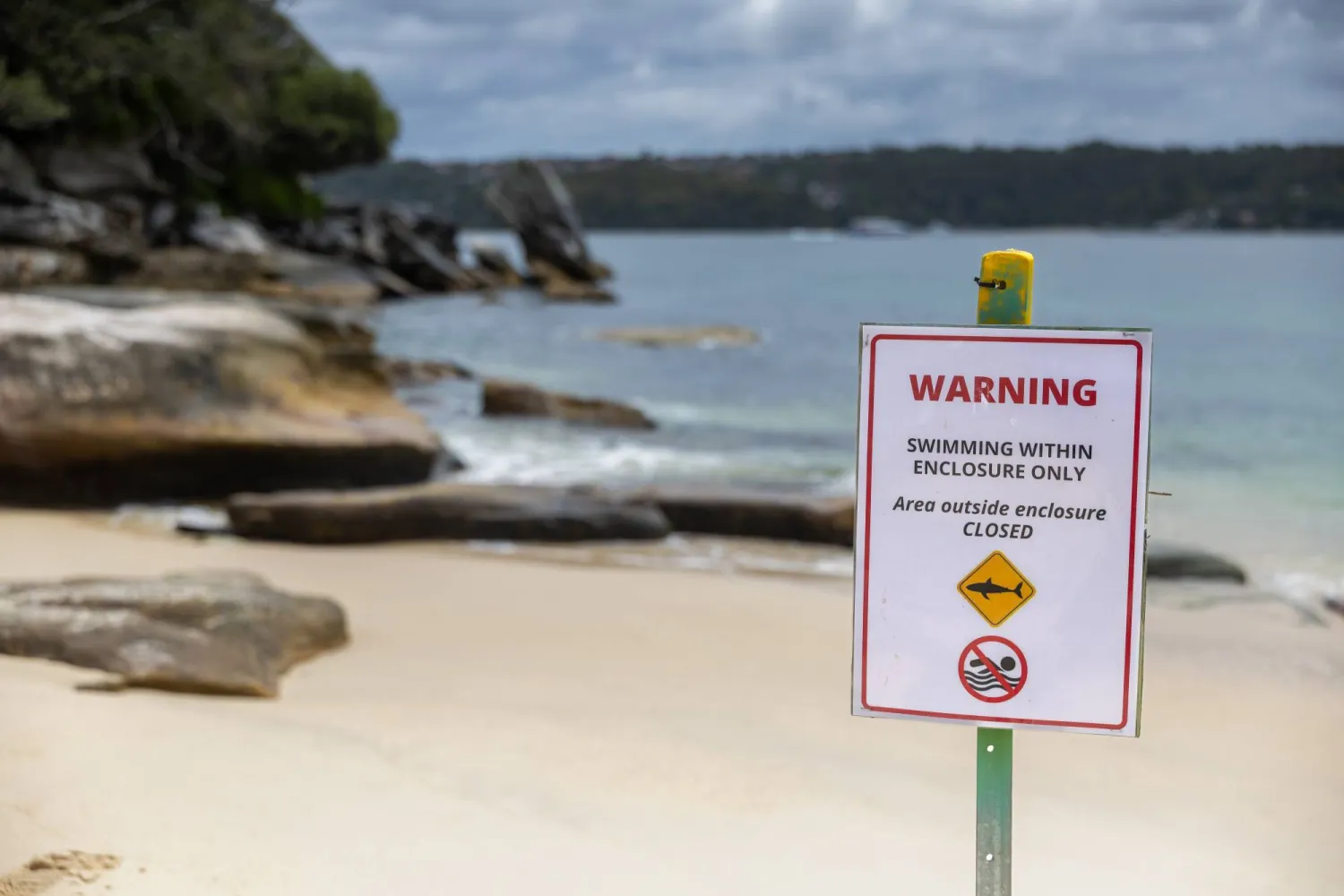 لقطة عامة تُظهر شاطئ القرش في سيدني بنيو ساوث ويلز الأسترالية (إ.ب.أ)