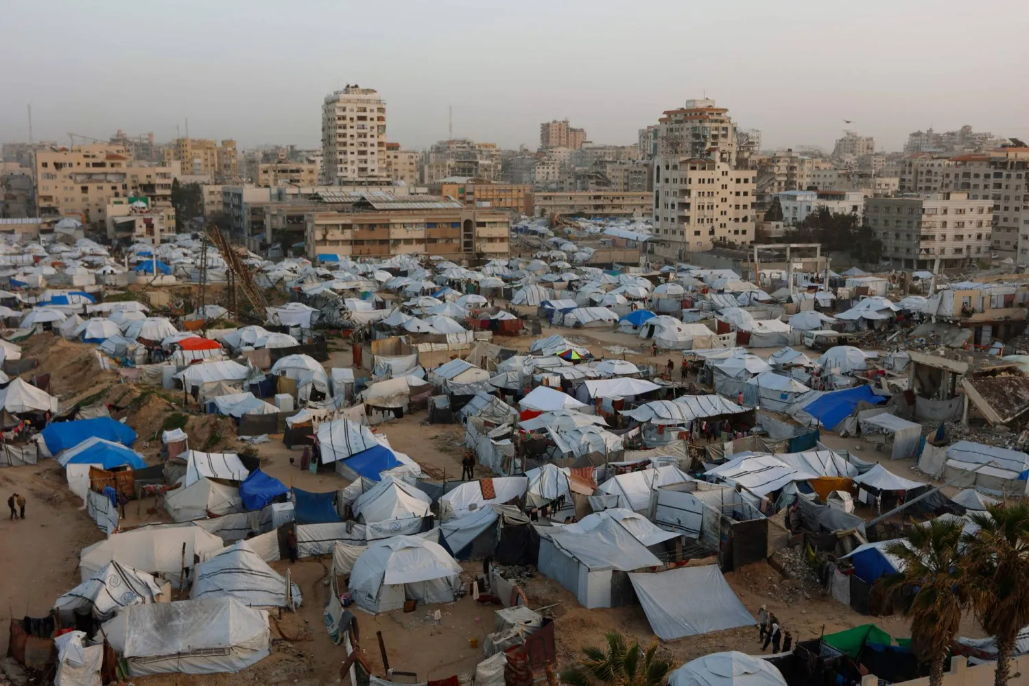 Tents housing displaced Palestinians are erected on empty land near buildings destroyed by the Israeli military, in Gaza City on January 24, 2026. (AFP)