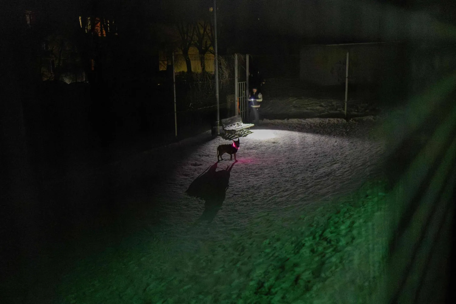  A resident walks with a dog on a freezing evening during a power outage in a residential neighborhood of Kyiv on January 24, 2026, following Russian missile and drone attacks on Ukrainian energy infrastructure amid the Russian invasion in Ukraine. (AFP) 