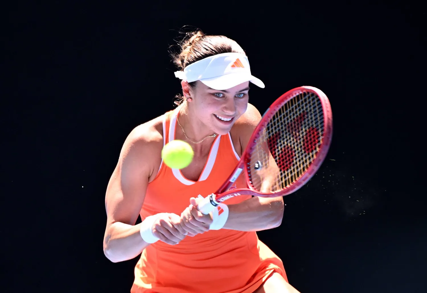 إيفا يوفيتش (إ.ب.أ)