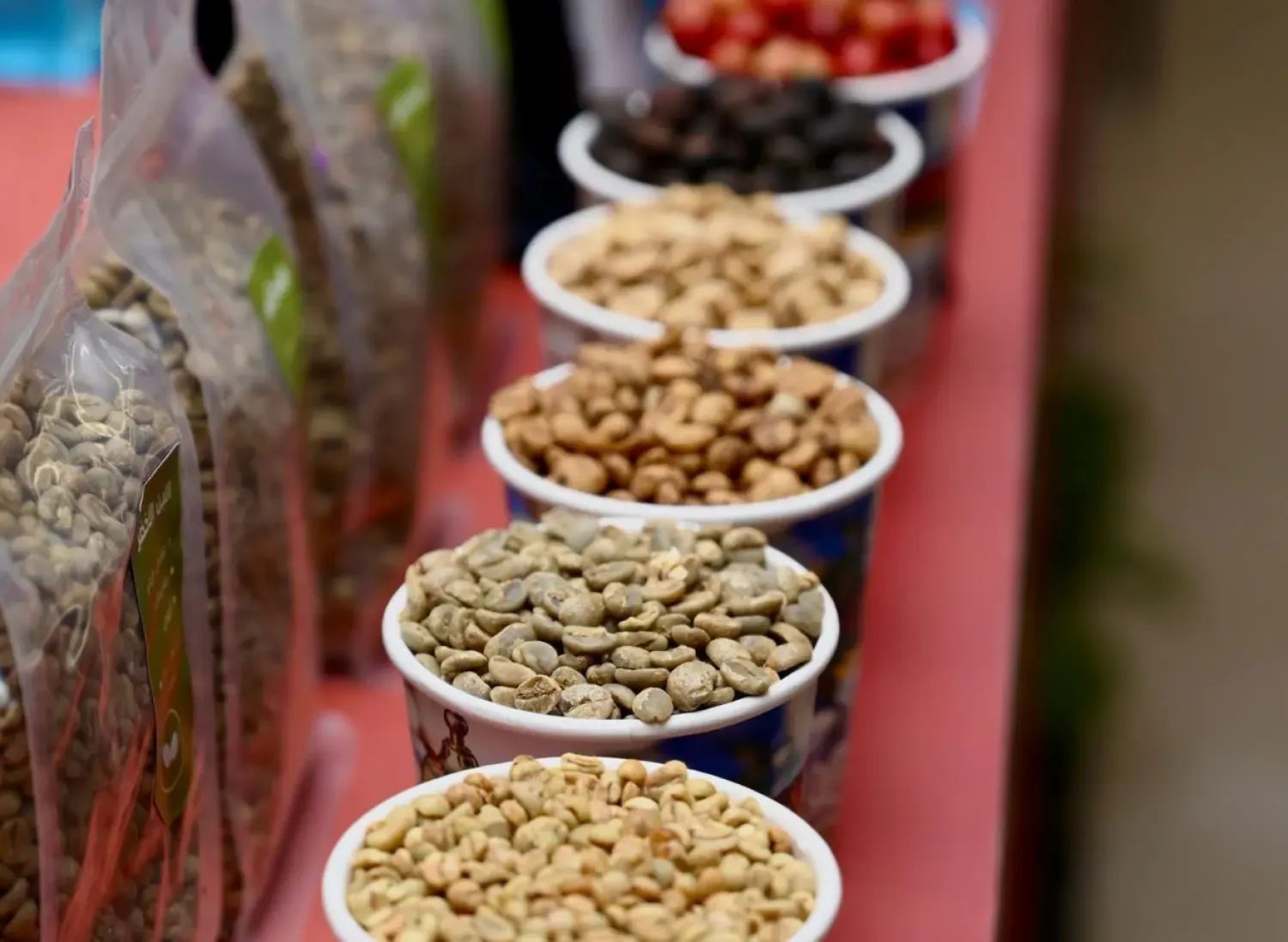 A training track offered practical instruction on coffee preparation and machine operation in an accessible setting - SPA
