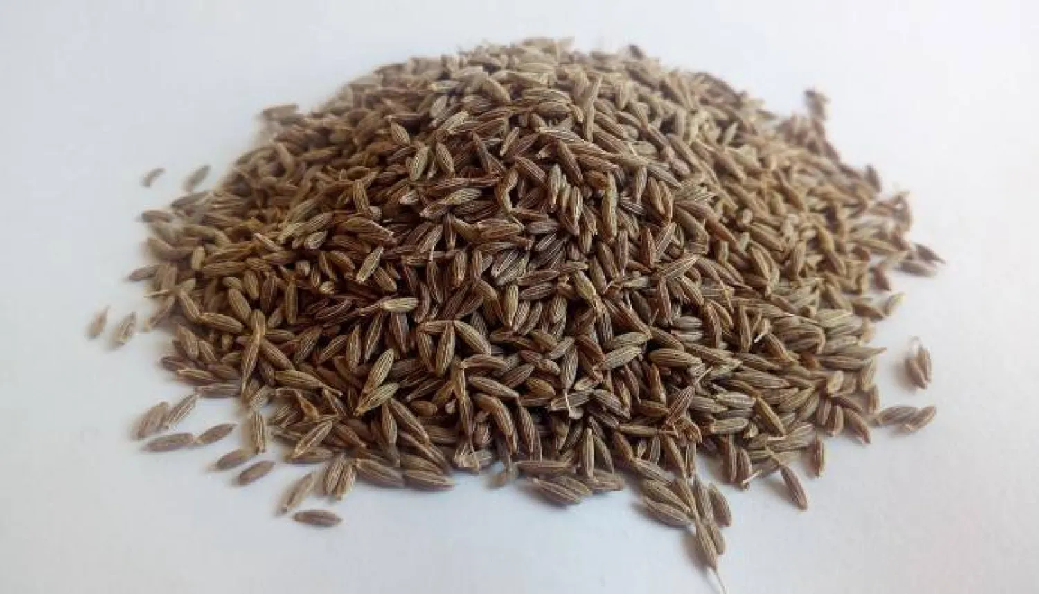 للكَمُّون فوائد صحية مذهلة تجعله إضافة قيِّمة لنظامك الغذائي (بكساباي)