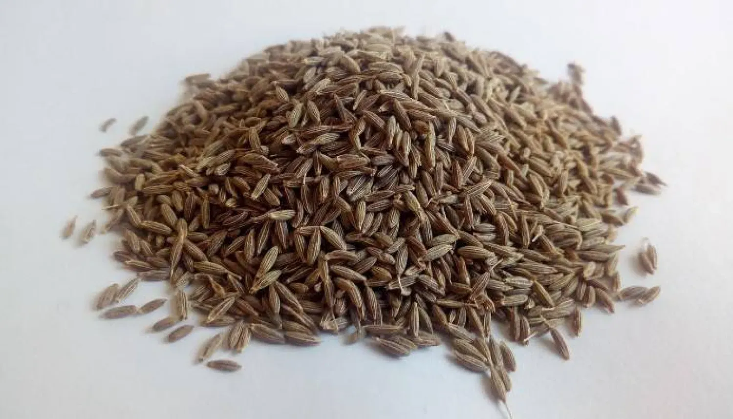 Kimyonun, onu beslenme düzeninde değerli kılan şaşırtıcı sağlık faydaları bulunuyor (Pixabay)