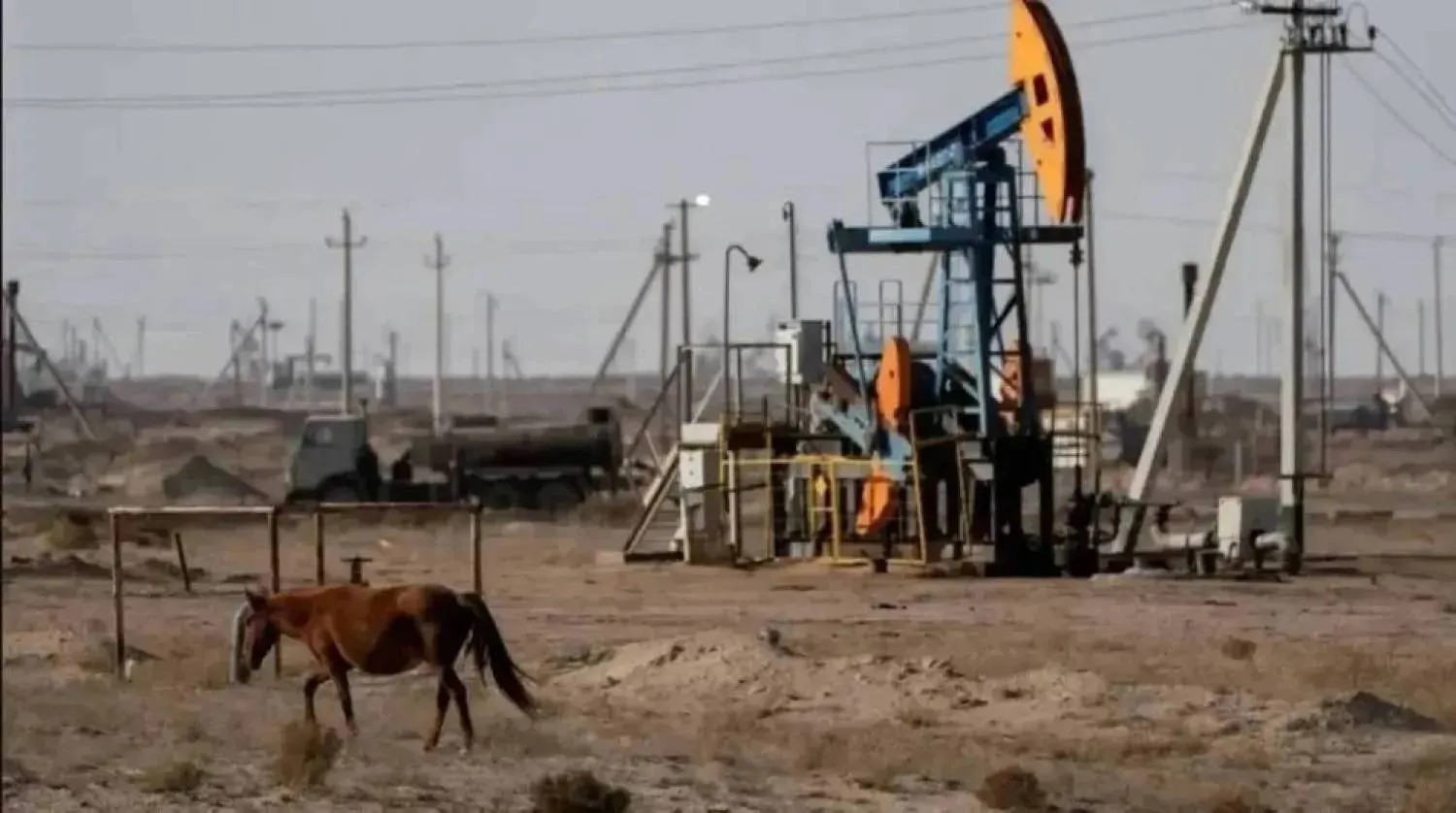 حصان يرعى بالقرب من منصة حفر نفطية في كازاخستان (رويترز)