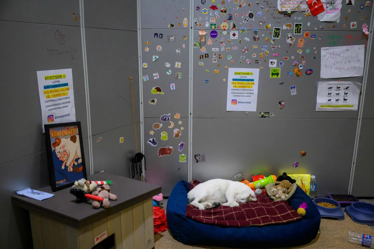 «كانيون» (أ.ف.ب)