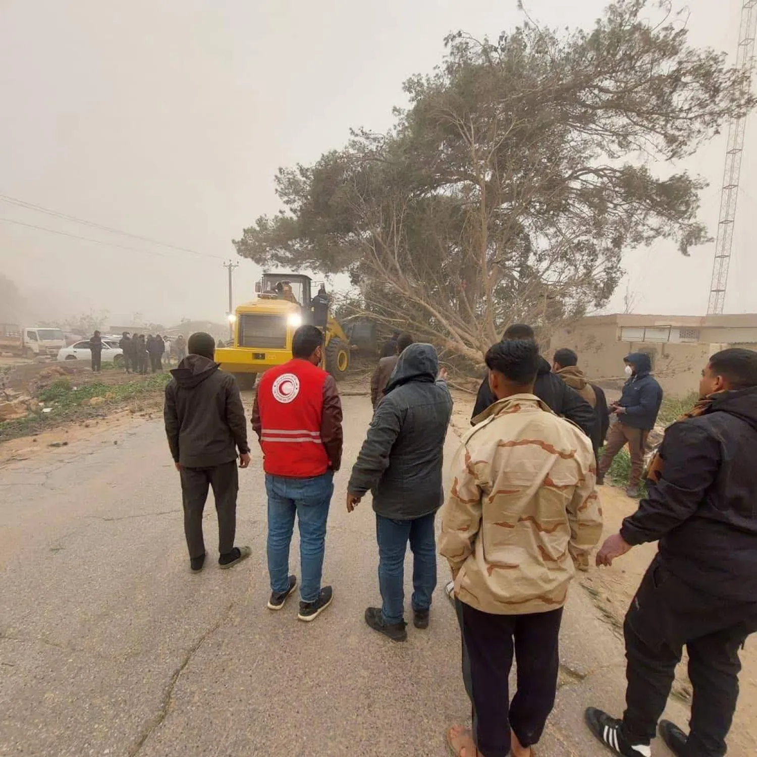 فريق طوارئ بالهلال الأحمر الليبي يزيل أشجاراً من الطريق أسقطتها العاصفة الجوية (الهلال الأحمر)