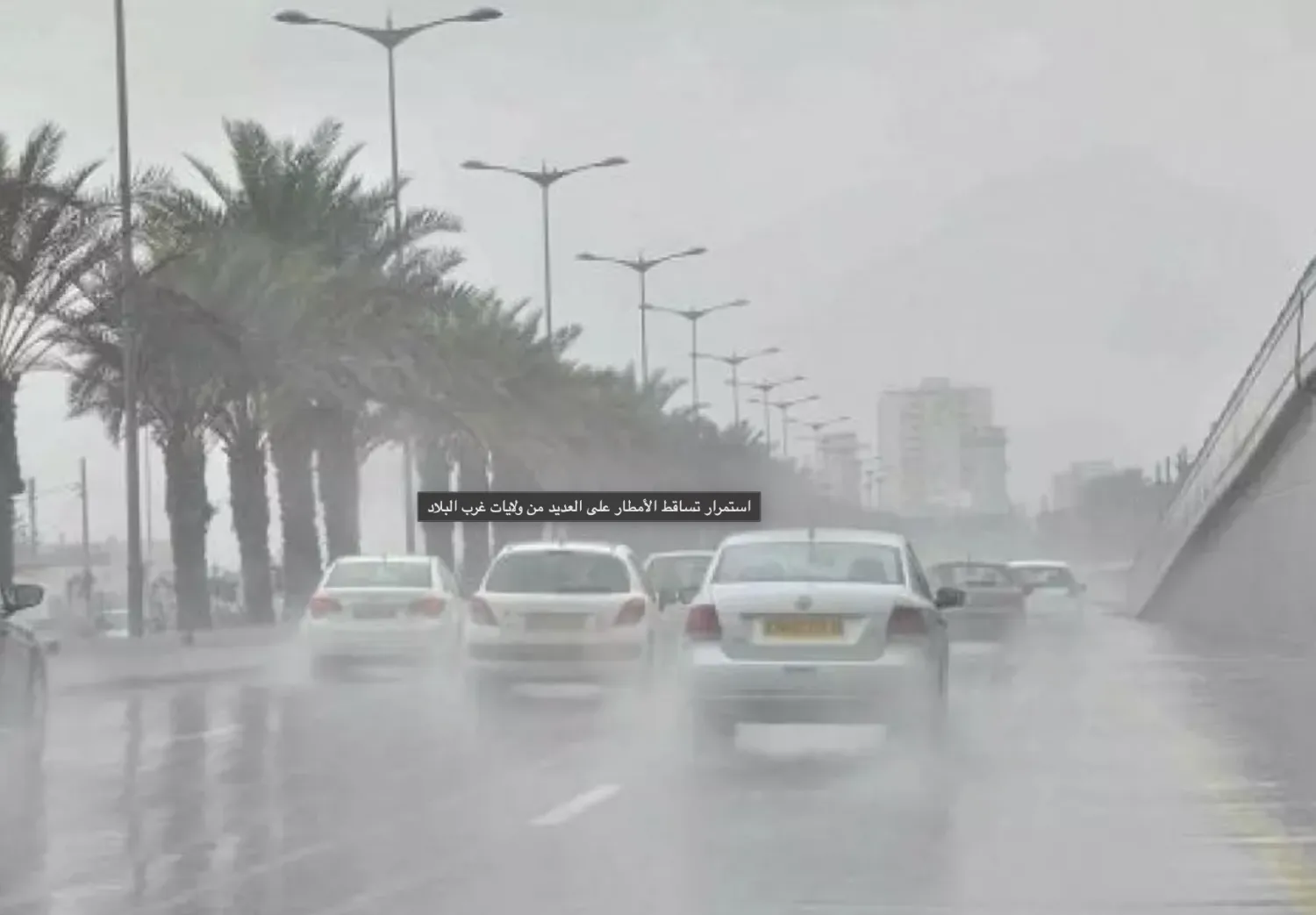 أمطار غزيرة في العاصمة الجزائر (مصالح الأرصاد الجوية)