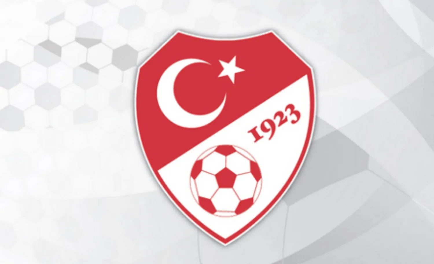 يتهم الاتحاد التركي لكرة القدم مسؤولي النادي بأنهم «أساءوا إلى سمعة كرة القدم» (الاتحاد التركي)