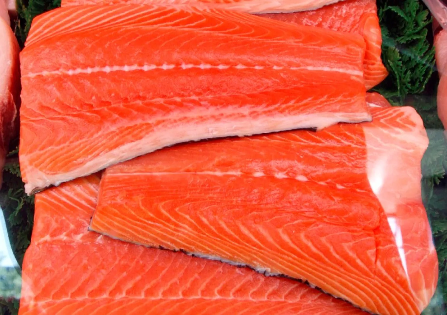 سمك السلمون يوفر حماية إضافية للقلب (رويترز)