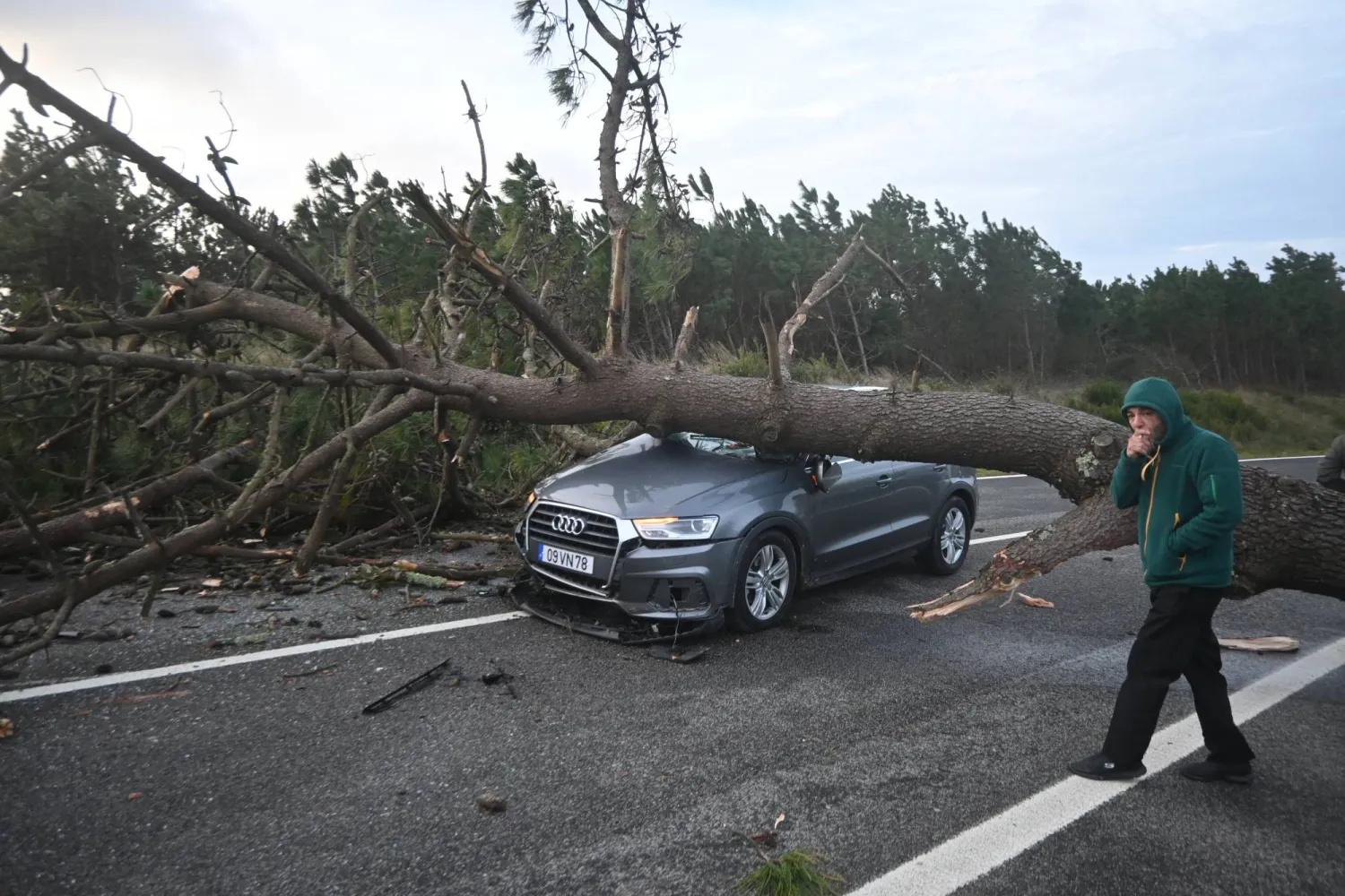 سيارة محطمة نتيجة سقوط شجرة عليها وسط الطريق في البرتغال (إ.ب.أ)