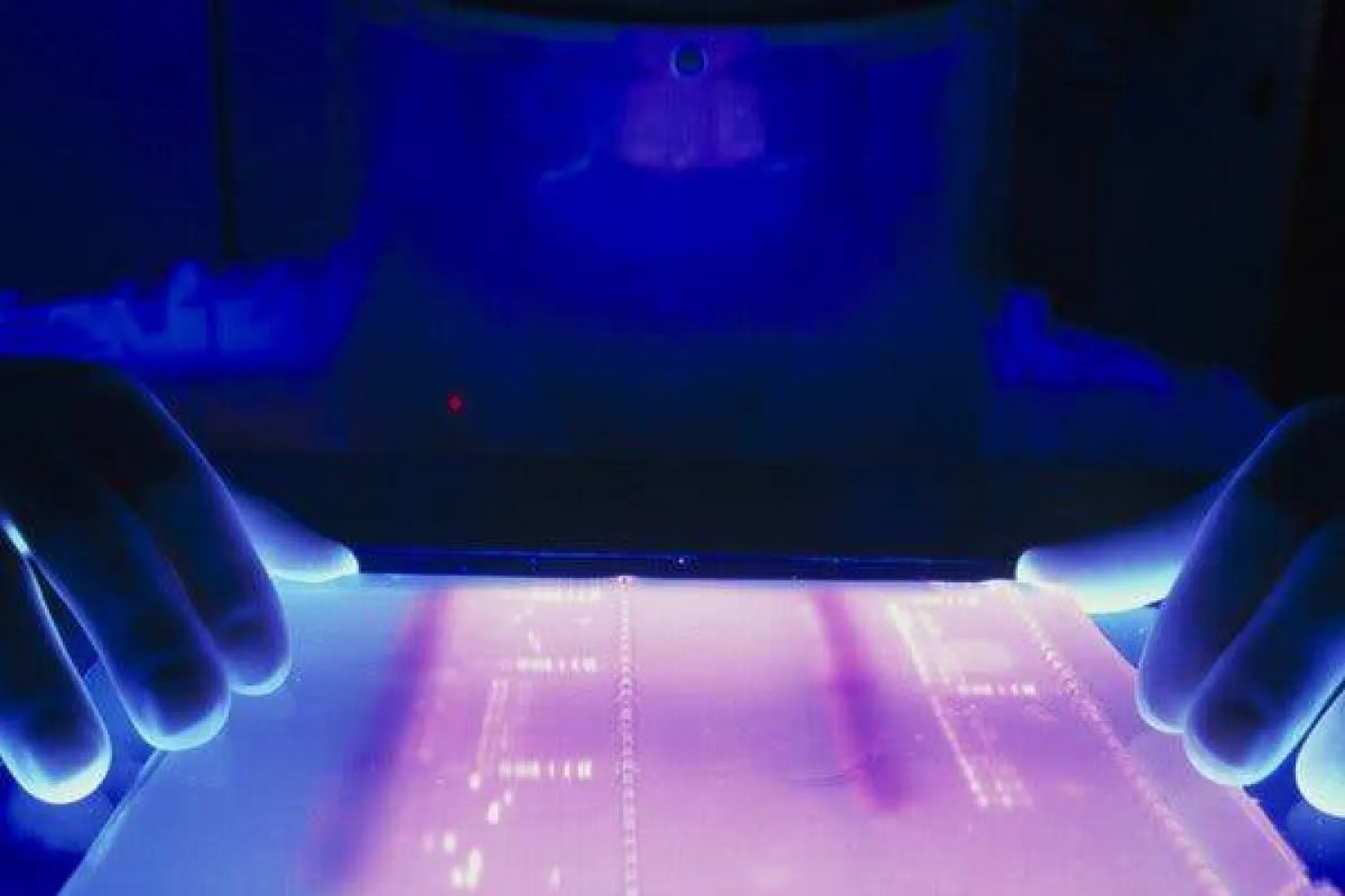 «ألفا جينوم» لدراسة الحمض النووي 