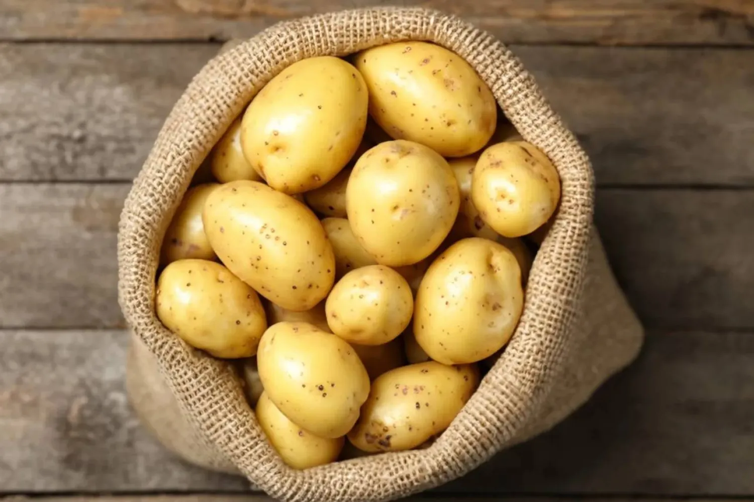 Sack of fresh raw potatoes (Shutterstock)