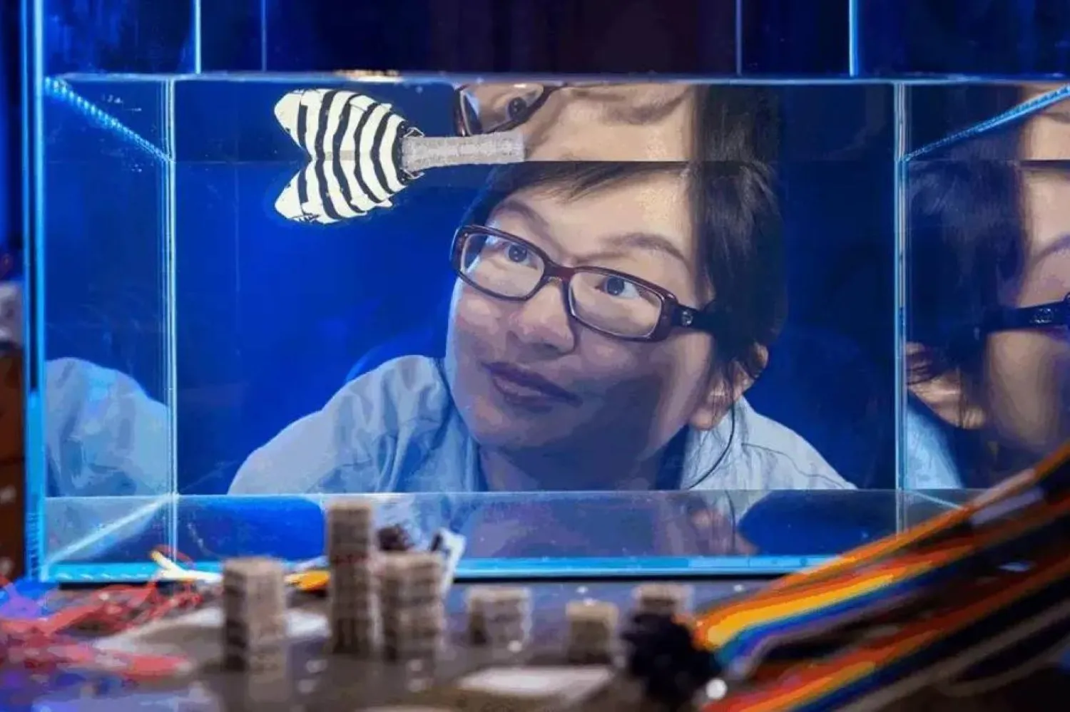 Araştırmacılar robotik balığın kuyruğunu isteğe göre ayarlayarak gittiği yönü değiştirdi (Duke Üniversitesi)