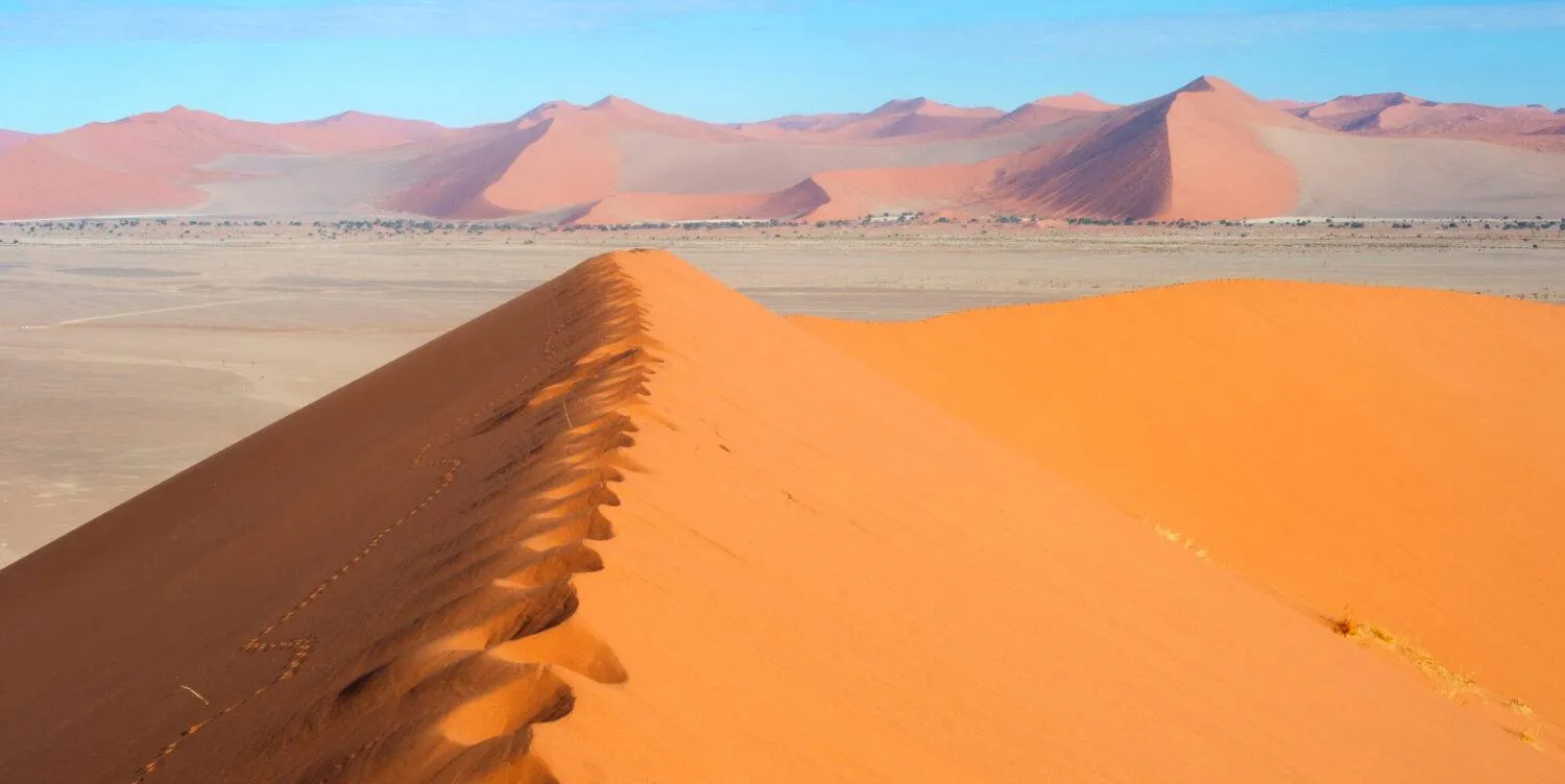 الرمال الناعمة تتوفر بكميات هائلة في الصحاري حول العالم (الجامعة النرويجية للعلوم والتكنولوجيا)