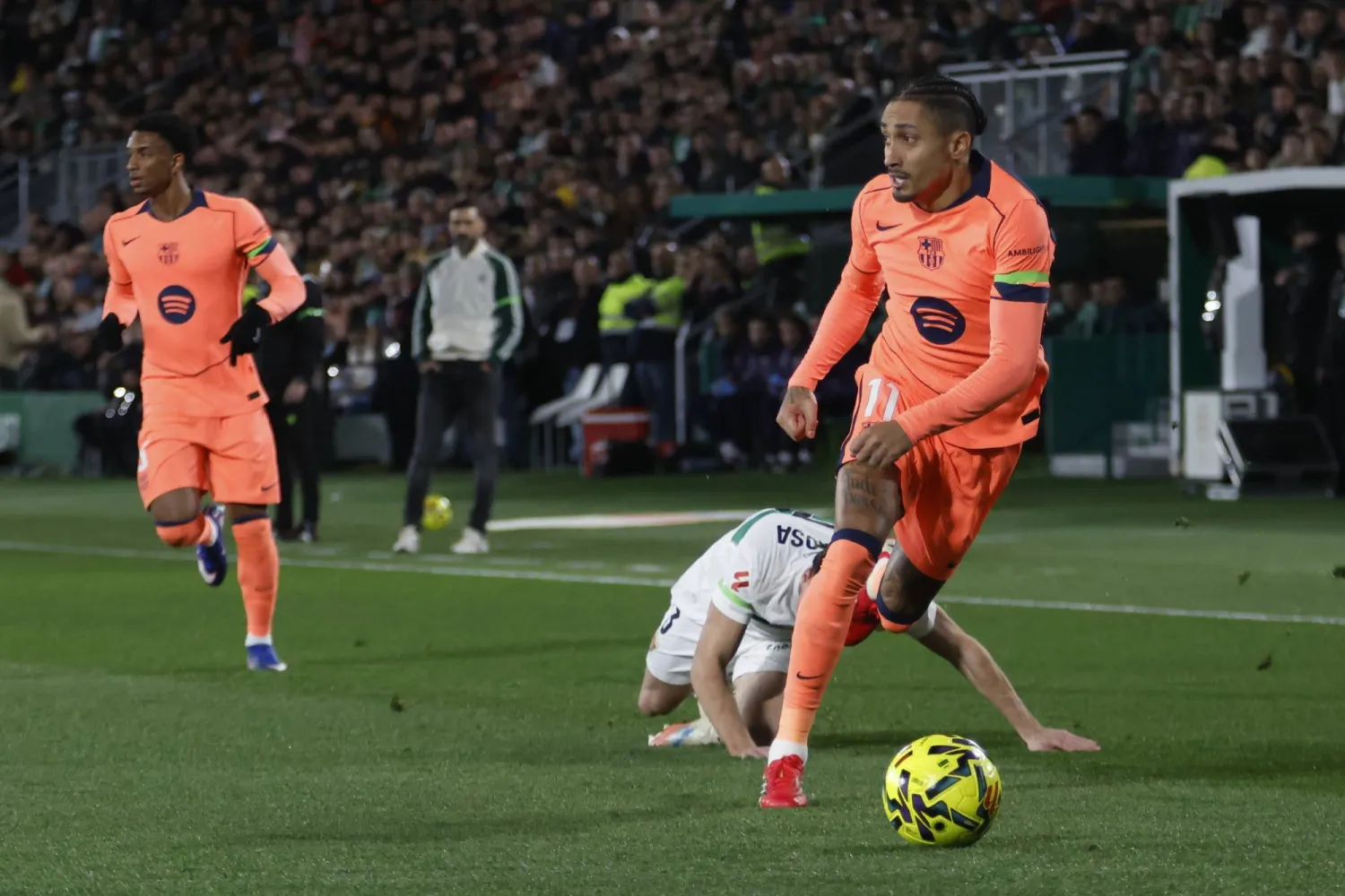 رافينيا (إ.ب.أ)