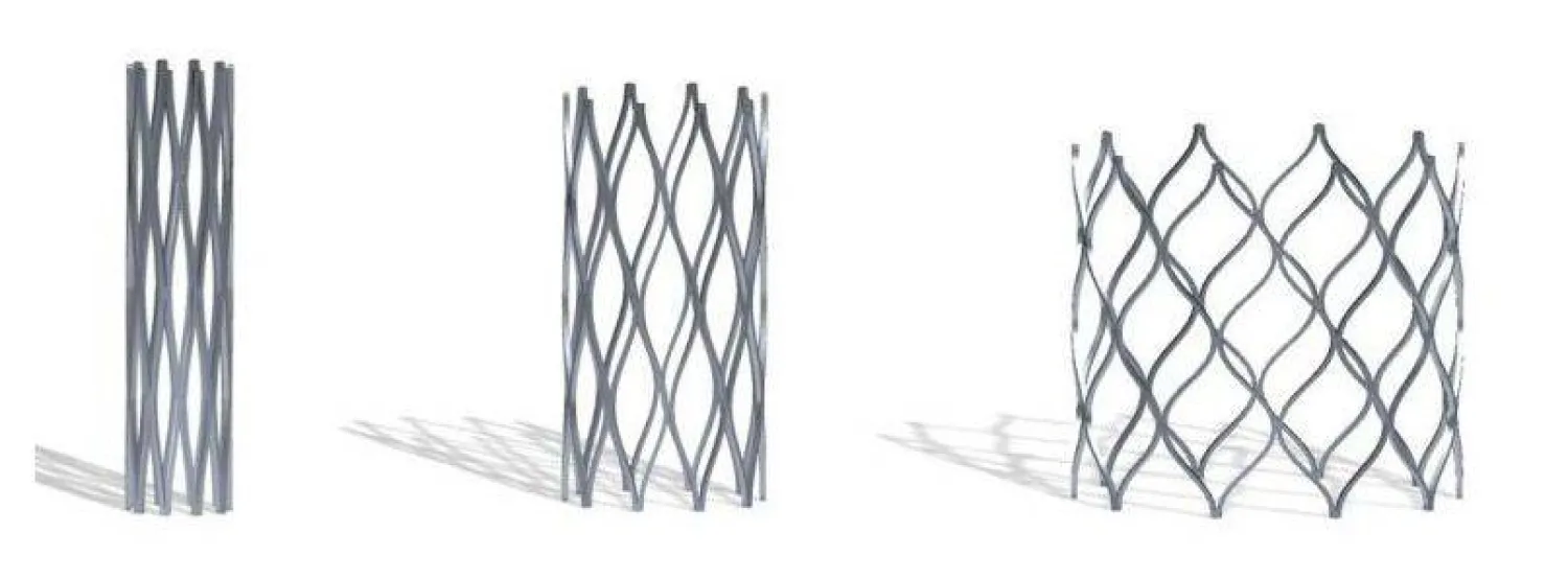 الدعامة قابلة للتمدد مع نمو الصغار