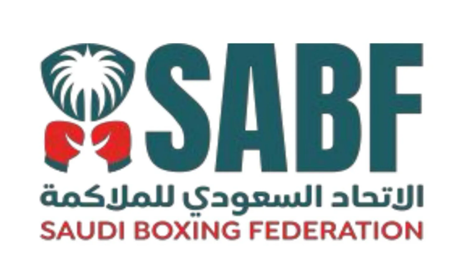 البطولة تستمر لمدة 4 أيام (الاتحاد السعودي للملاكمة)