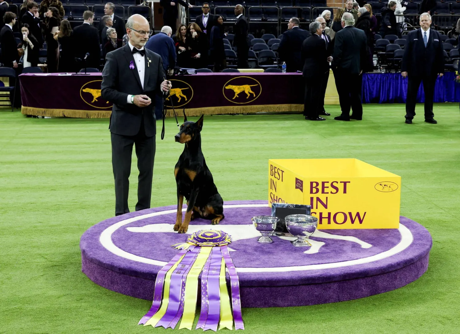 A Doberman named Penny sits next to the awards after winning the "Best in Show" competition at the 150th Westminster Kennel Club dog show in New York City, US, February 3, 2026. (Reuters)