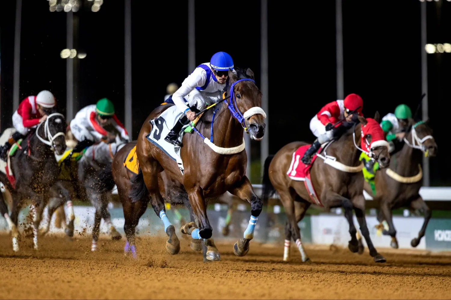 الخيال عادل الفريدي (نادي سباقات الخيل)