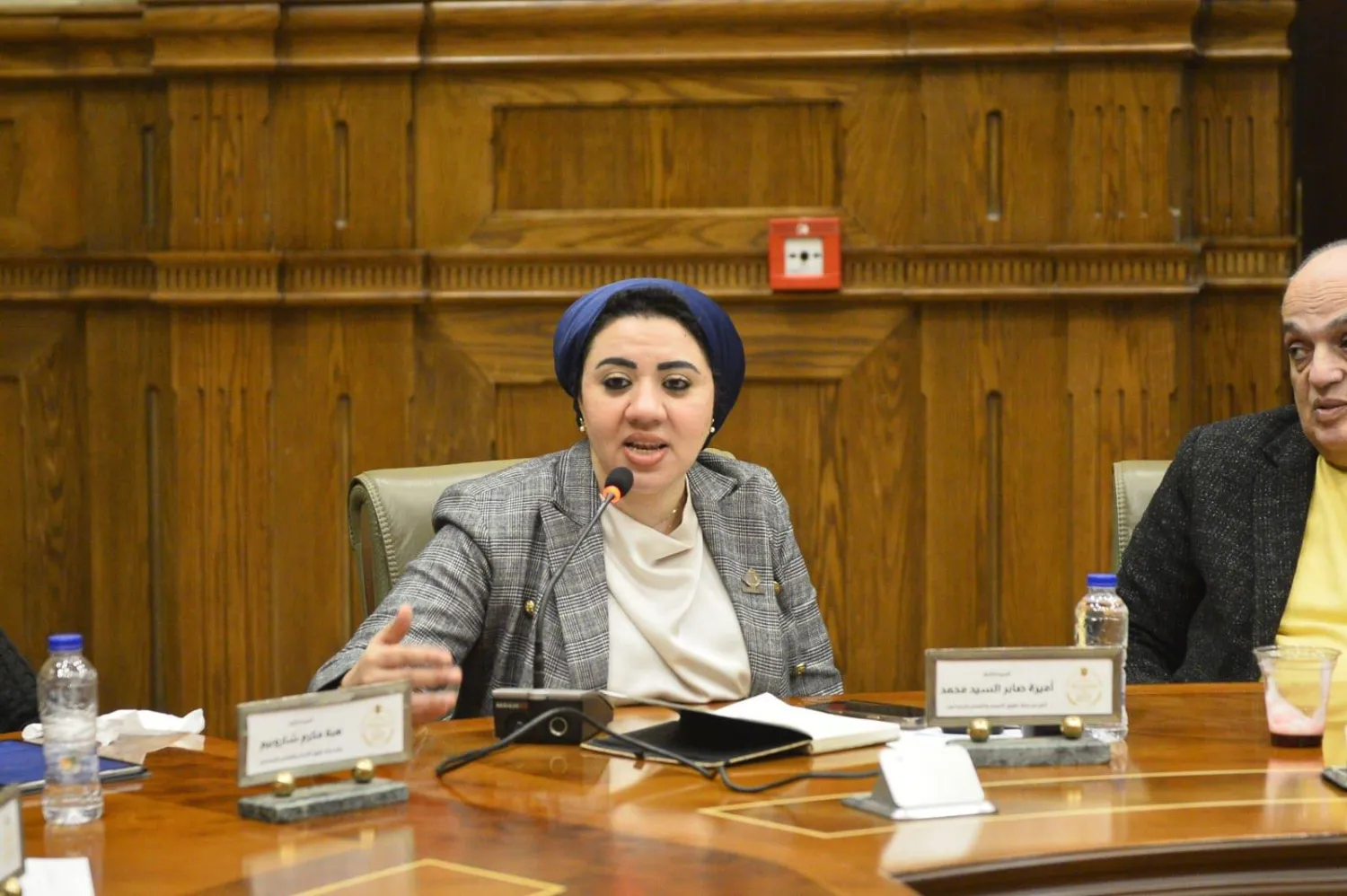 النائبة المصرية أميرة صابر (صفحتها على موقع التواصل الاجتماعي فيسبوك)