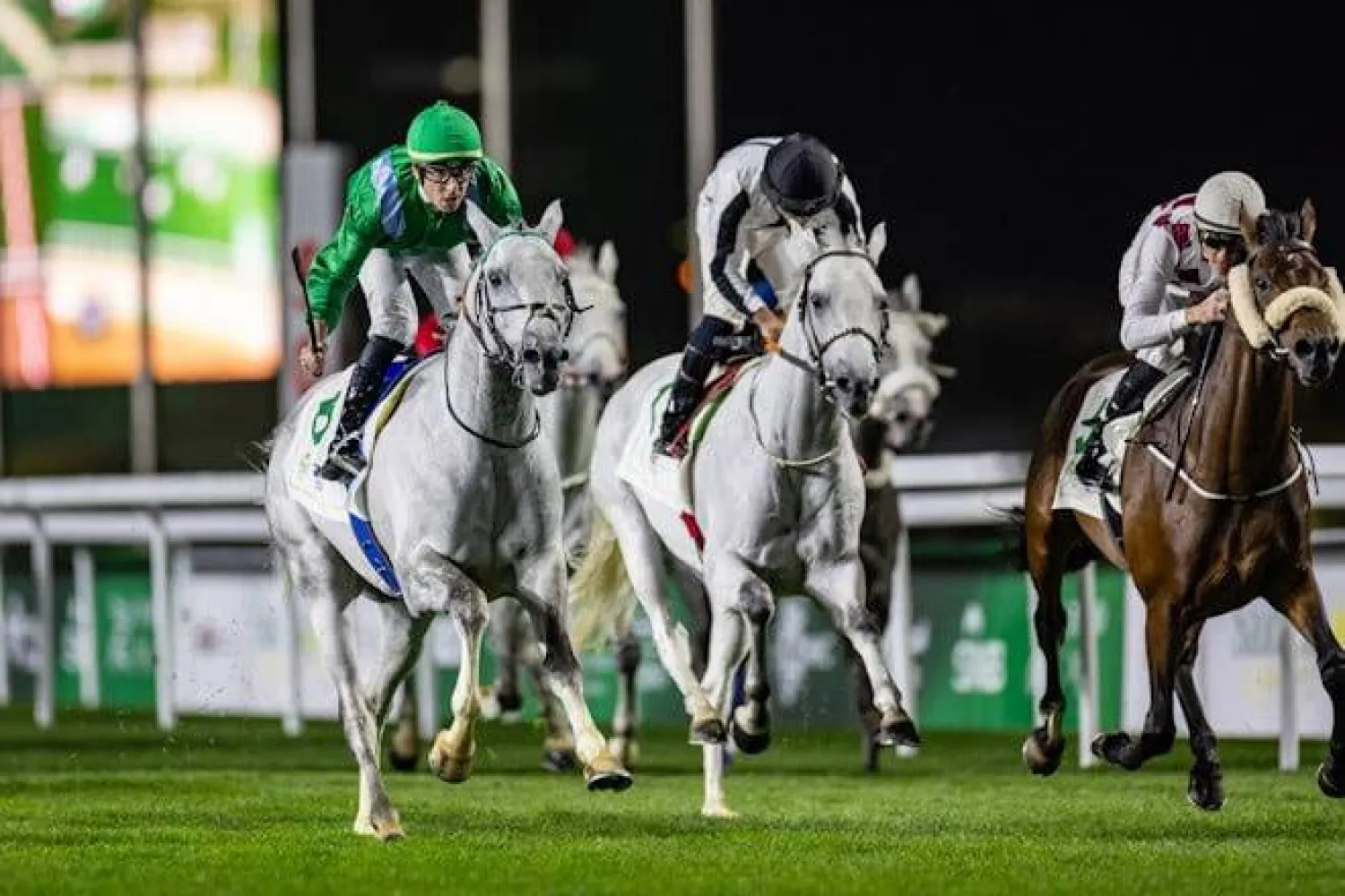 كأس السعودية لم يعد مجرد سباق خيل بل بات منصة عالمية (نادي سباقات الخيل)